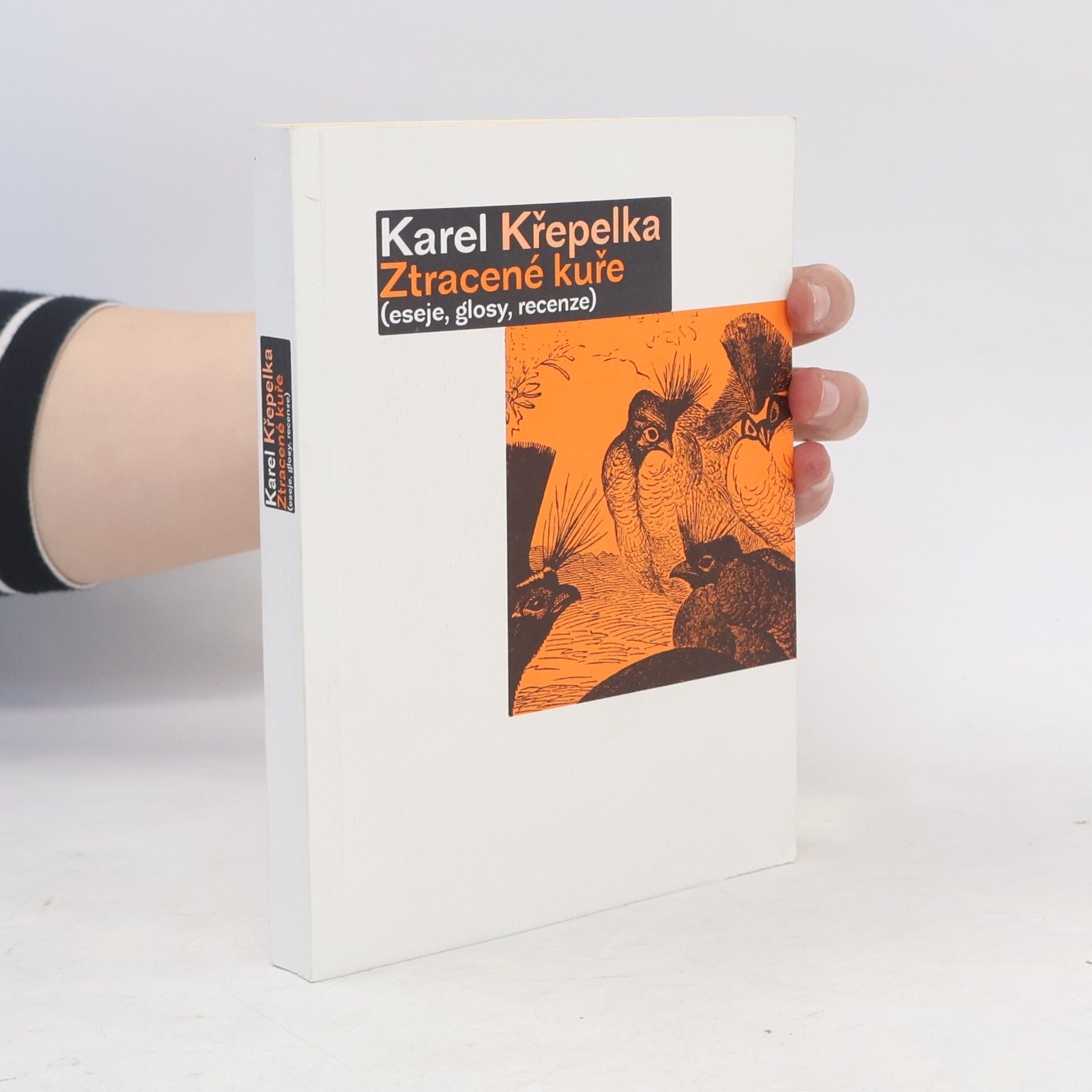 Karel Křepelka Ztracené kuře (eseje, glosy, recenze)