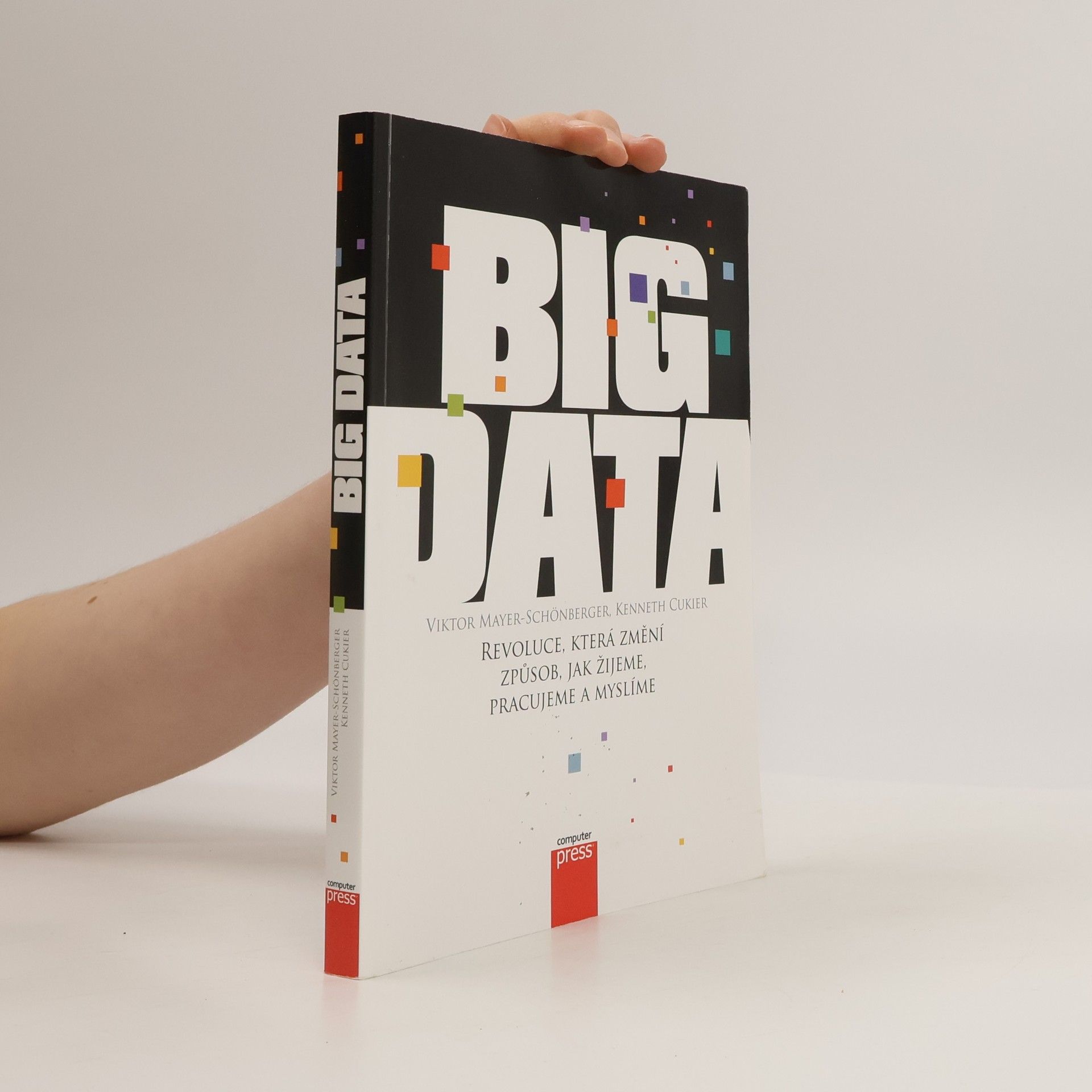 Viktor Mayer-Schönberger Big Data