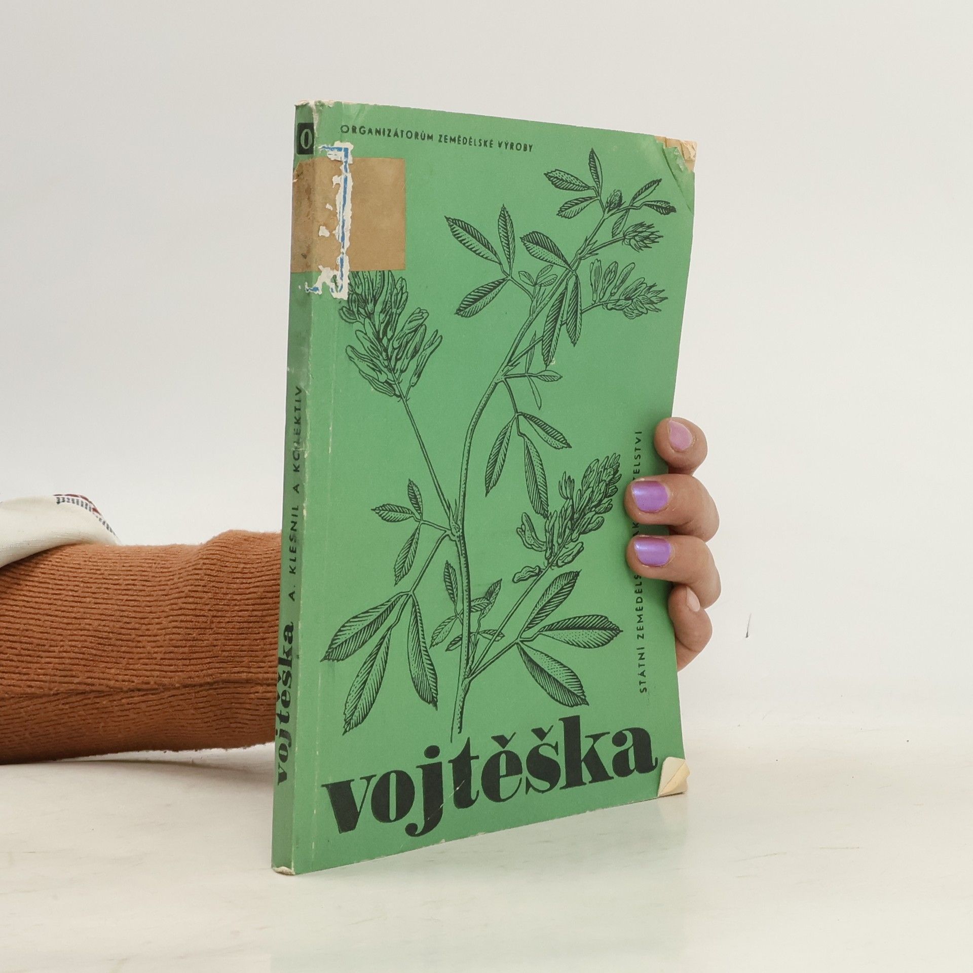 Antonín Klesnil Vojtěška