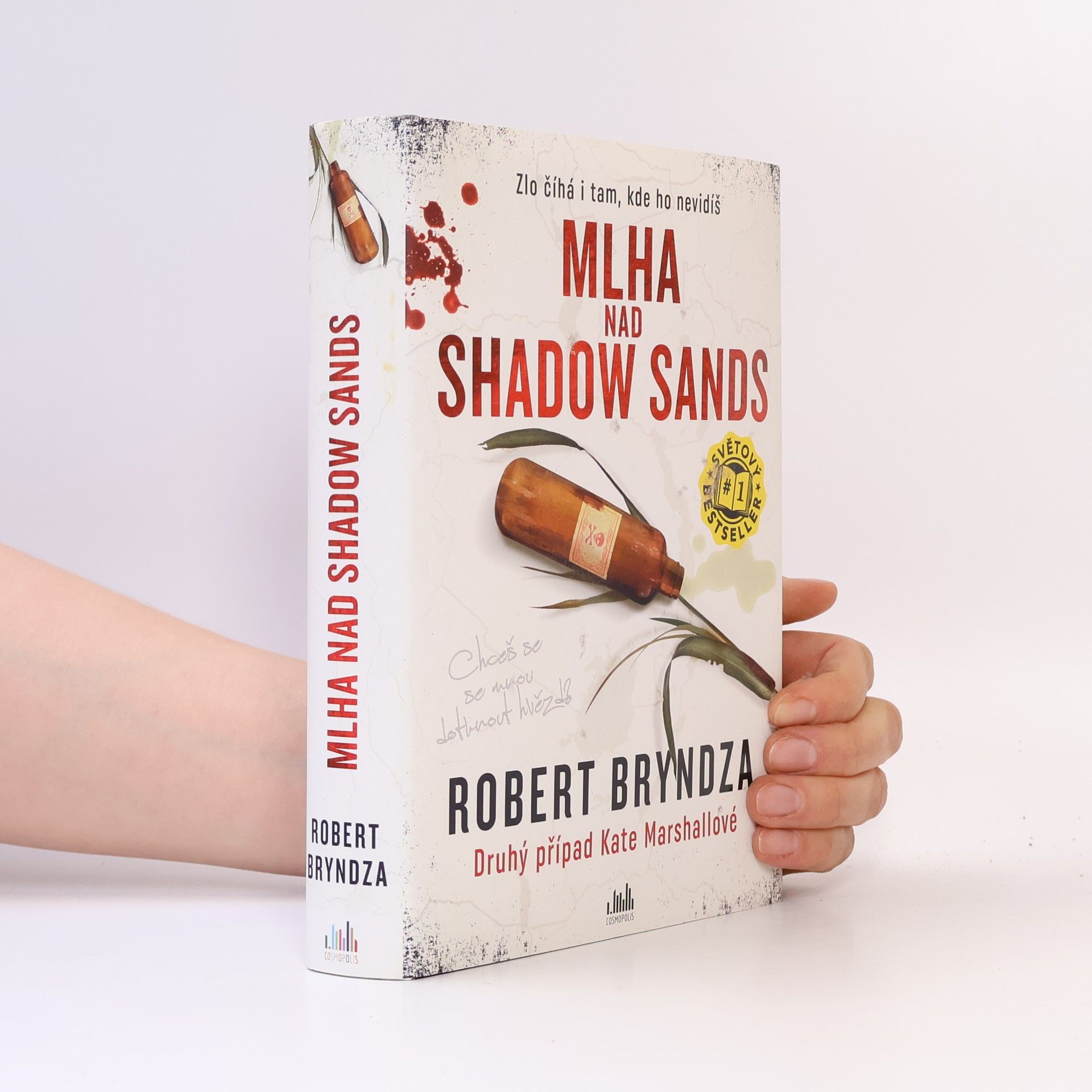 Robert Bryndza Mlha nad Shadow Sands