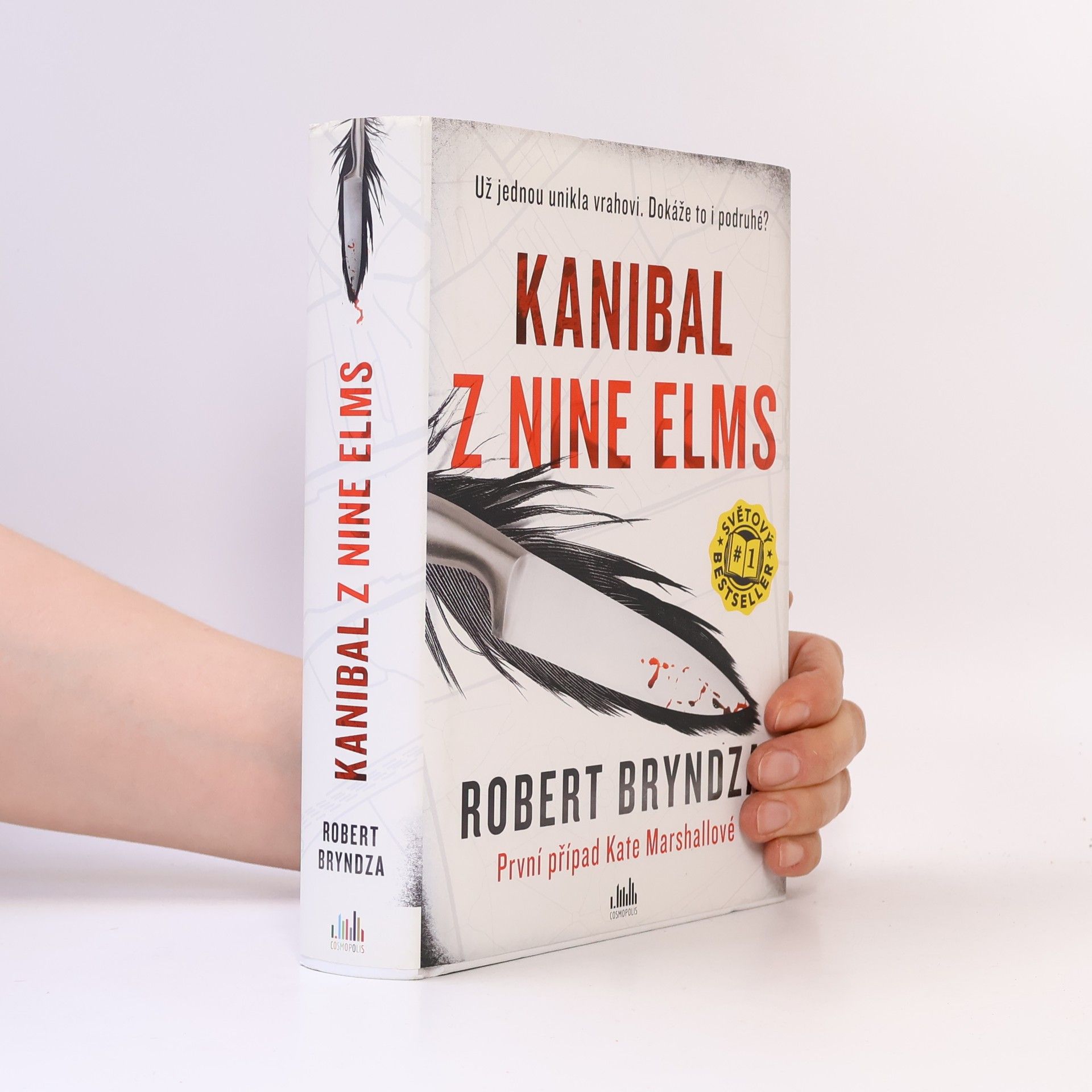 Robert Bryndza Kanibal z Nine Elms