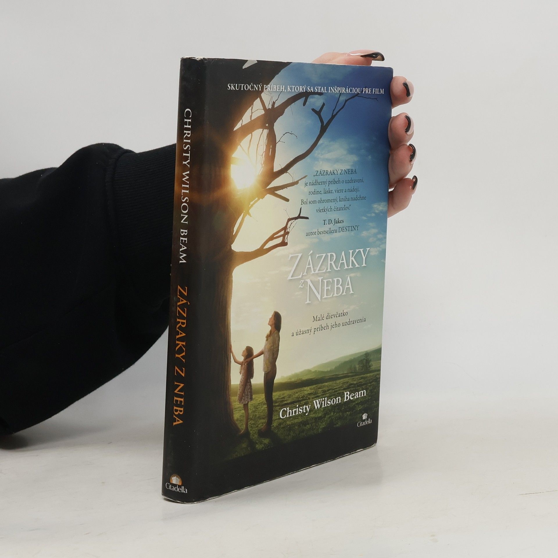Christy Wilson Beam Zázraky z neba