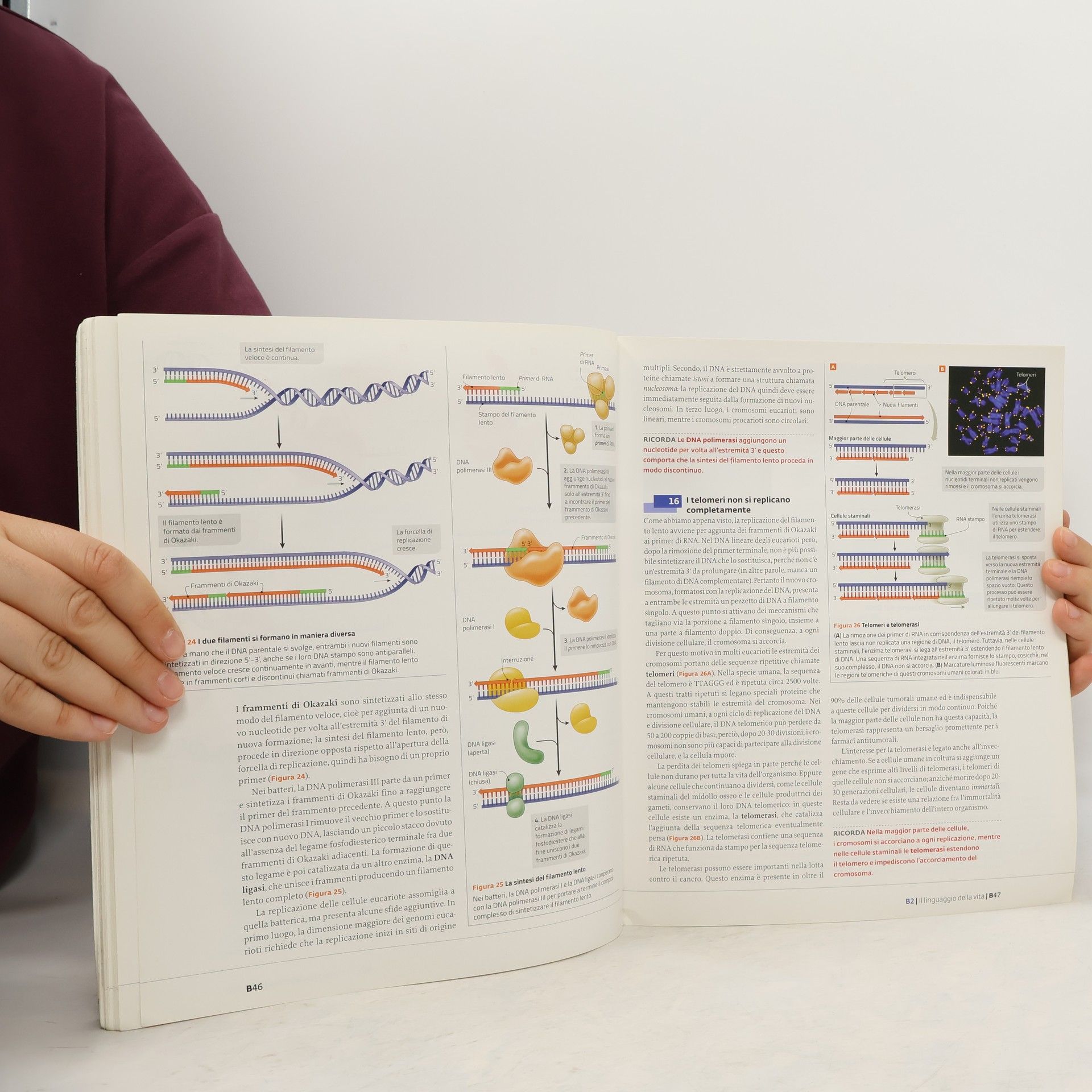 David Sadava La nuova biologia.blu PLUS
