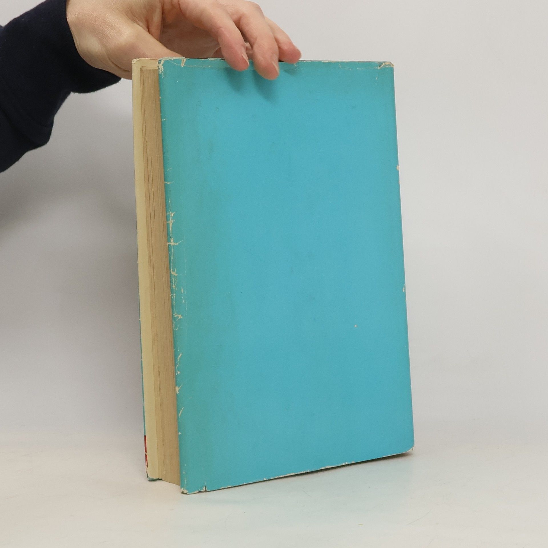 Michail Sostschenko Das Himmel blau buch