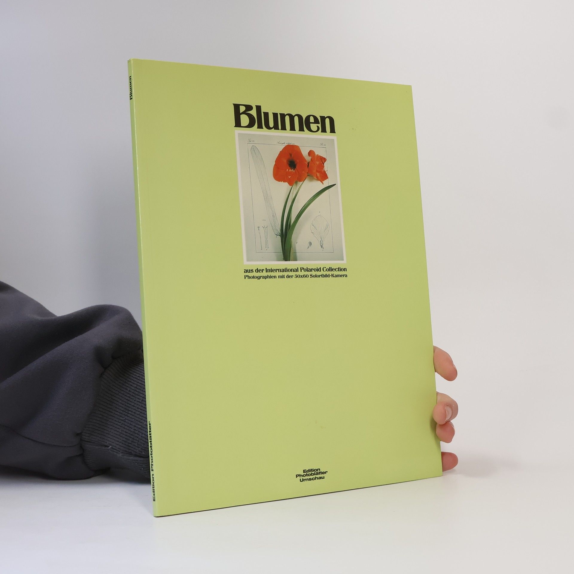 Martina Mettner Blumen