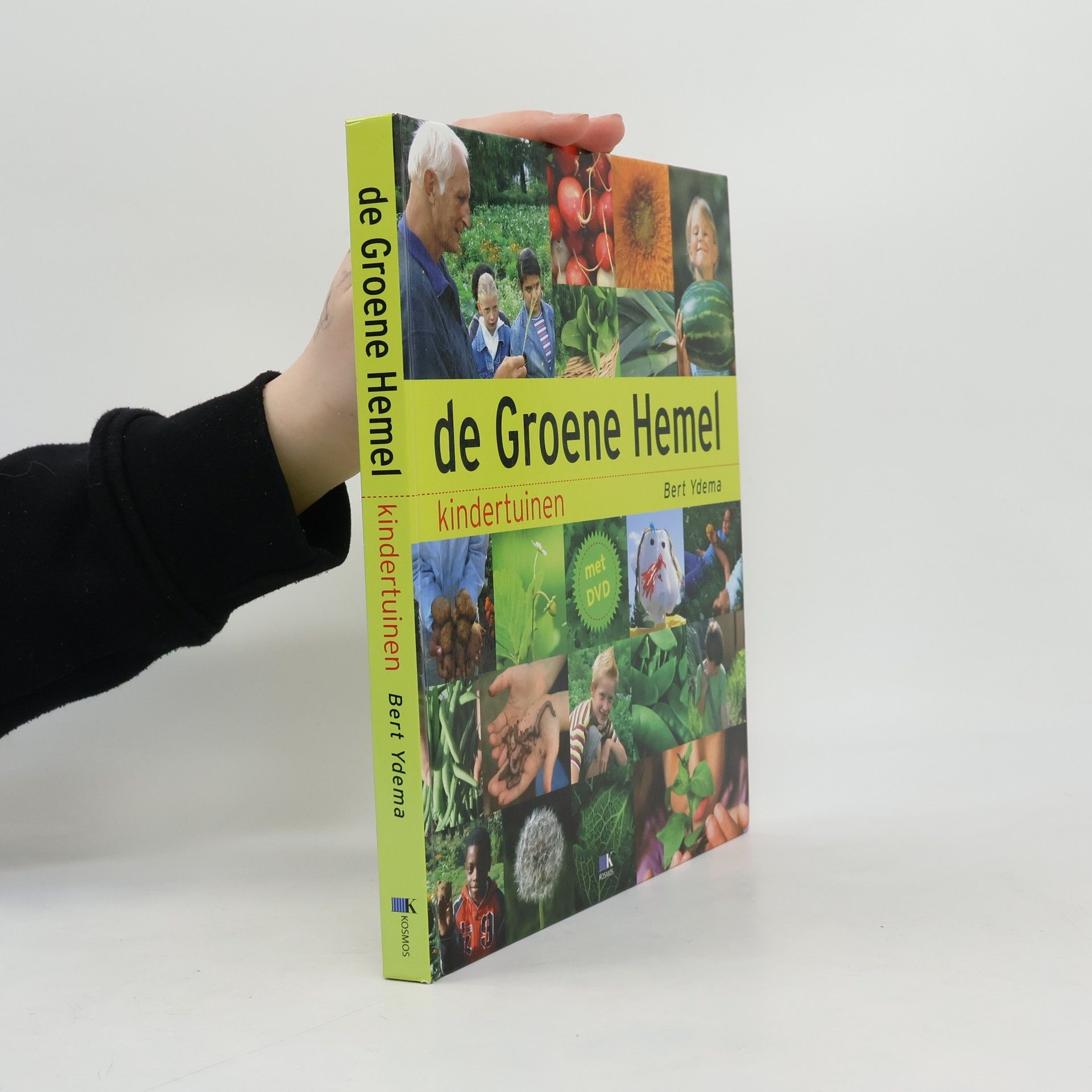 Bert Ydema De groene hemel