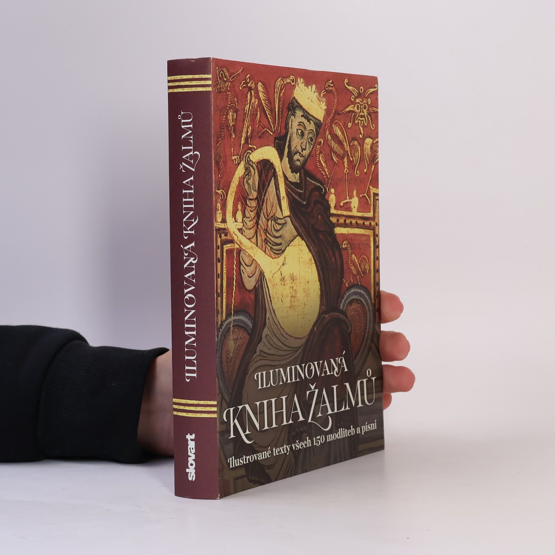 Kolektív autorov Iluminovaná kniha Žalmů