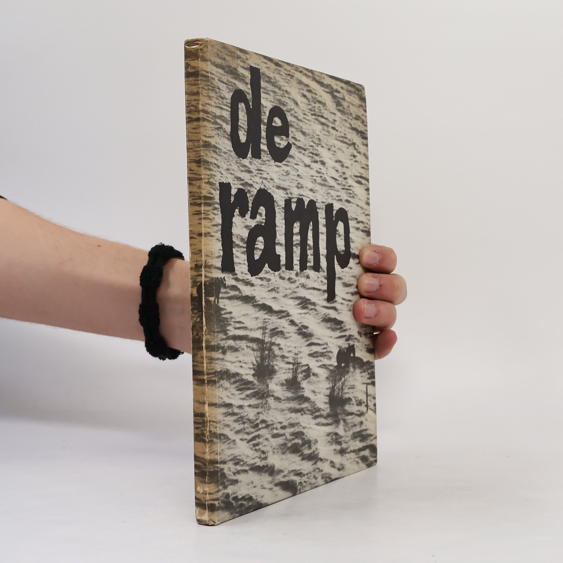 Kolektiv autorů De ramp