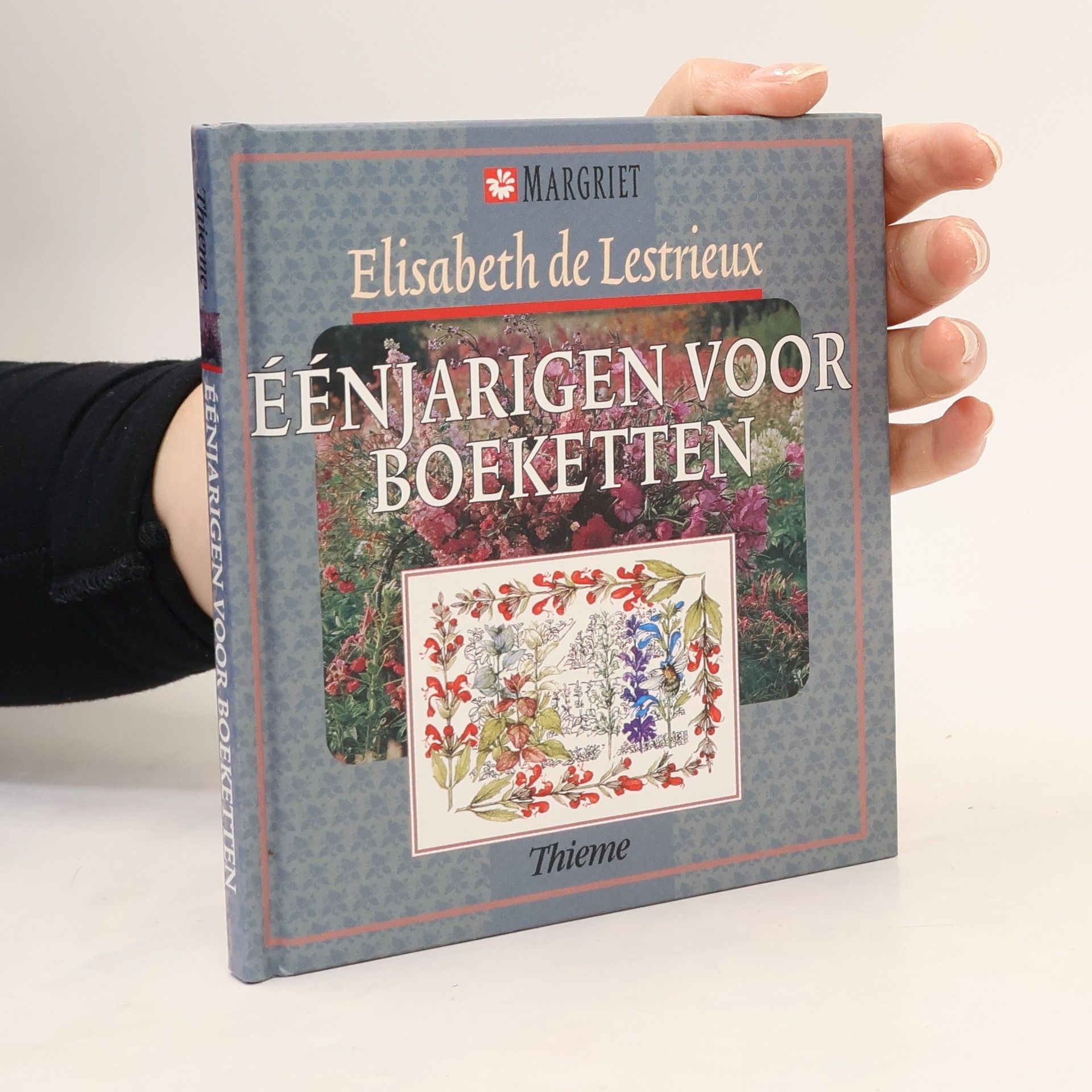 Margriet: Éénjarigen voor boeketten