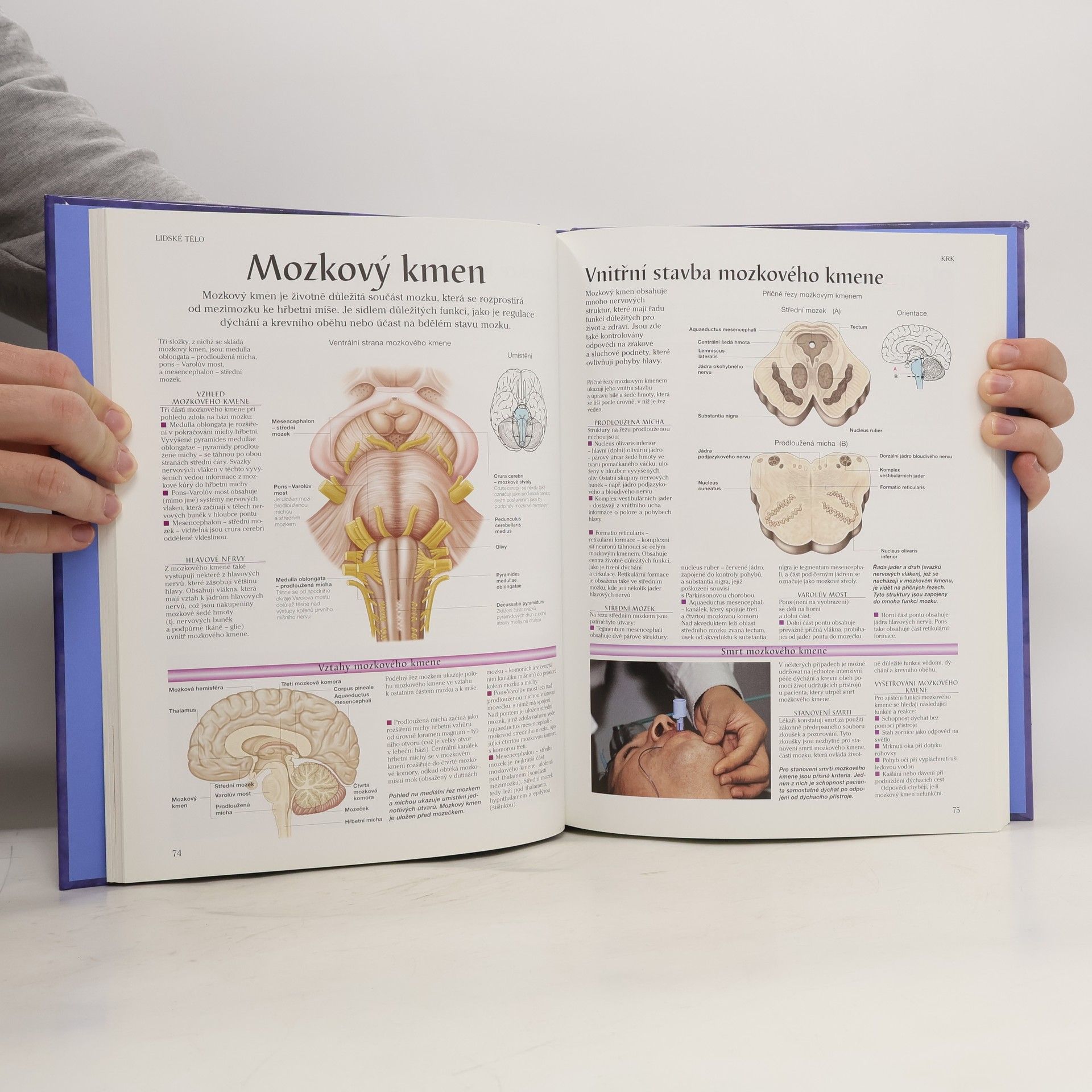 Peter H. Abrahams Lidské tělo : atlas anatomie člověka