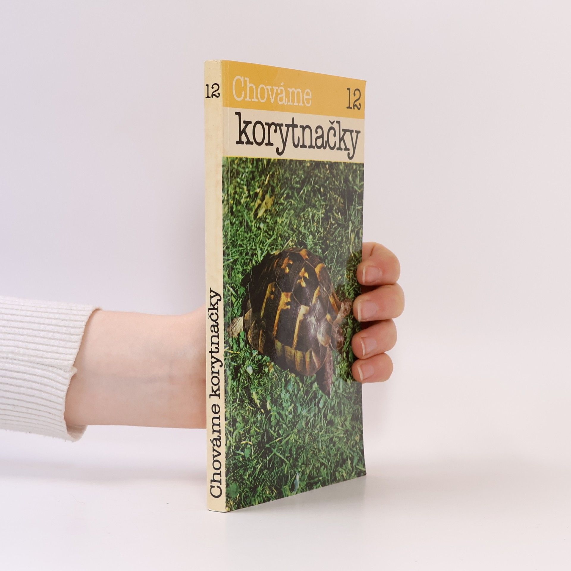 Autorenkollektiv Chováme korytnačky