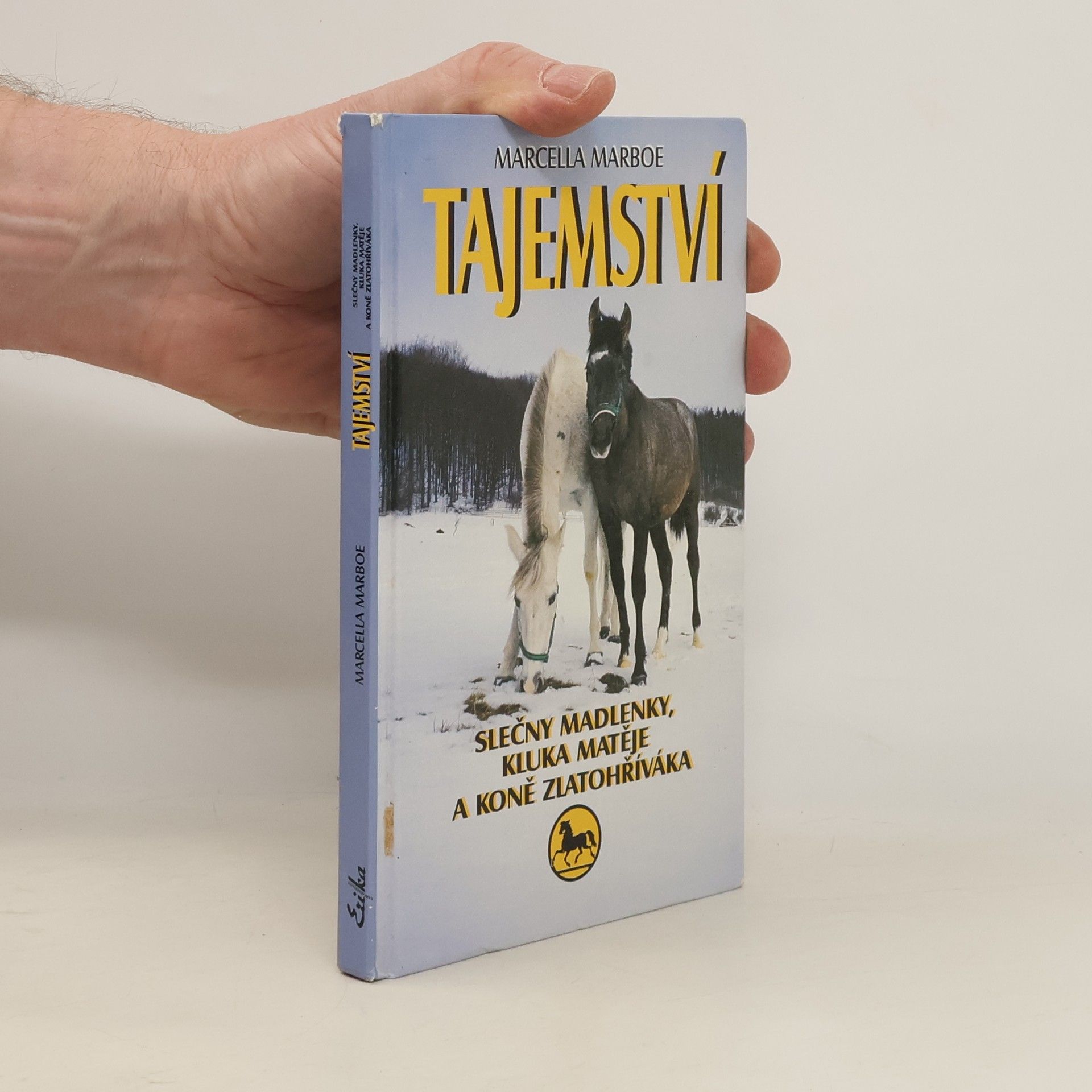 Tajemství slečny Madlenky, kluka Matěje a koně Zlatohříváka
