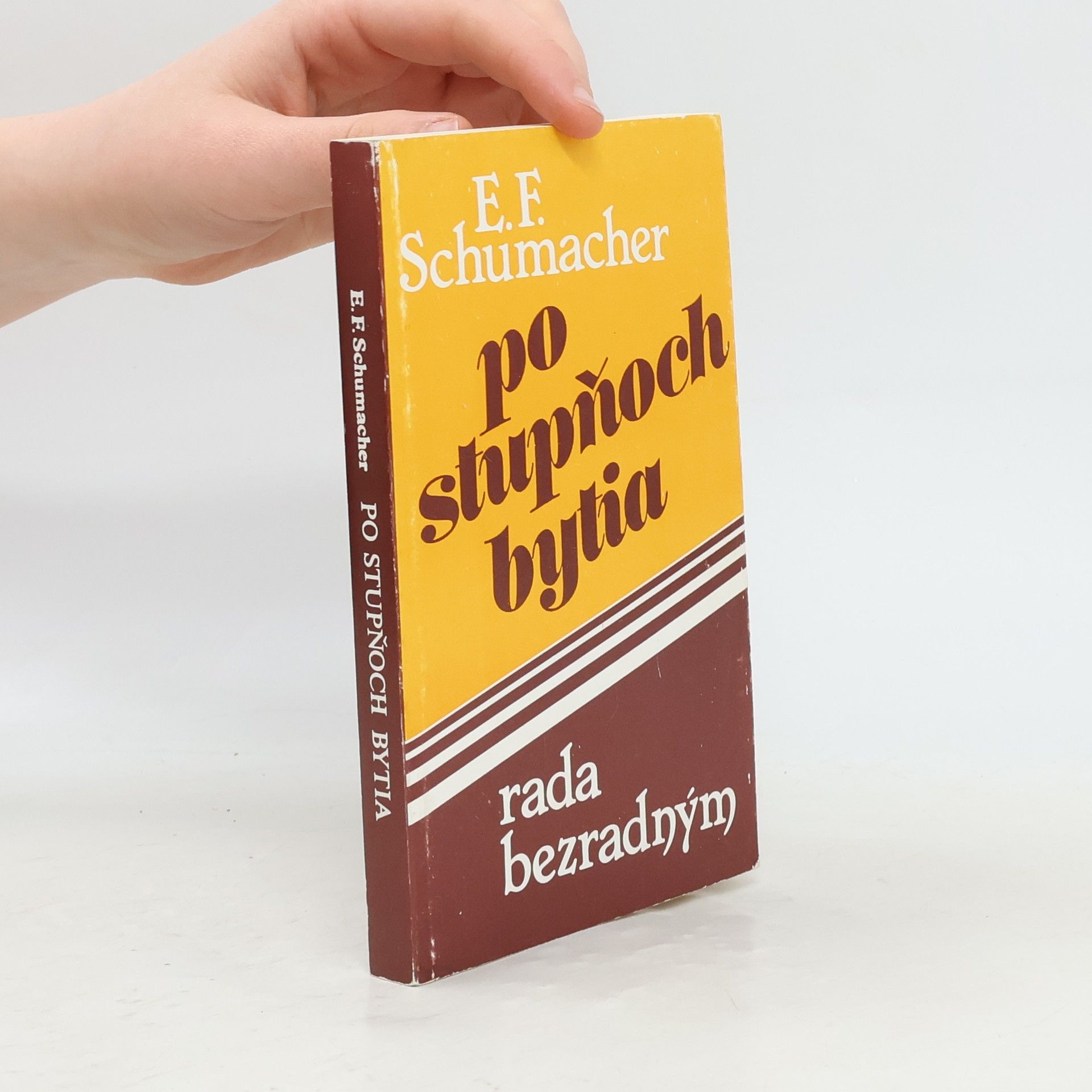 Po stupňoch bytia. Rada bezradným