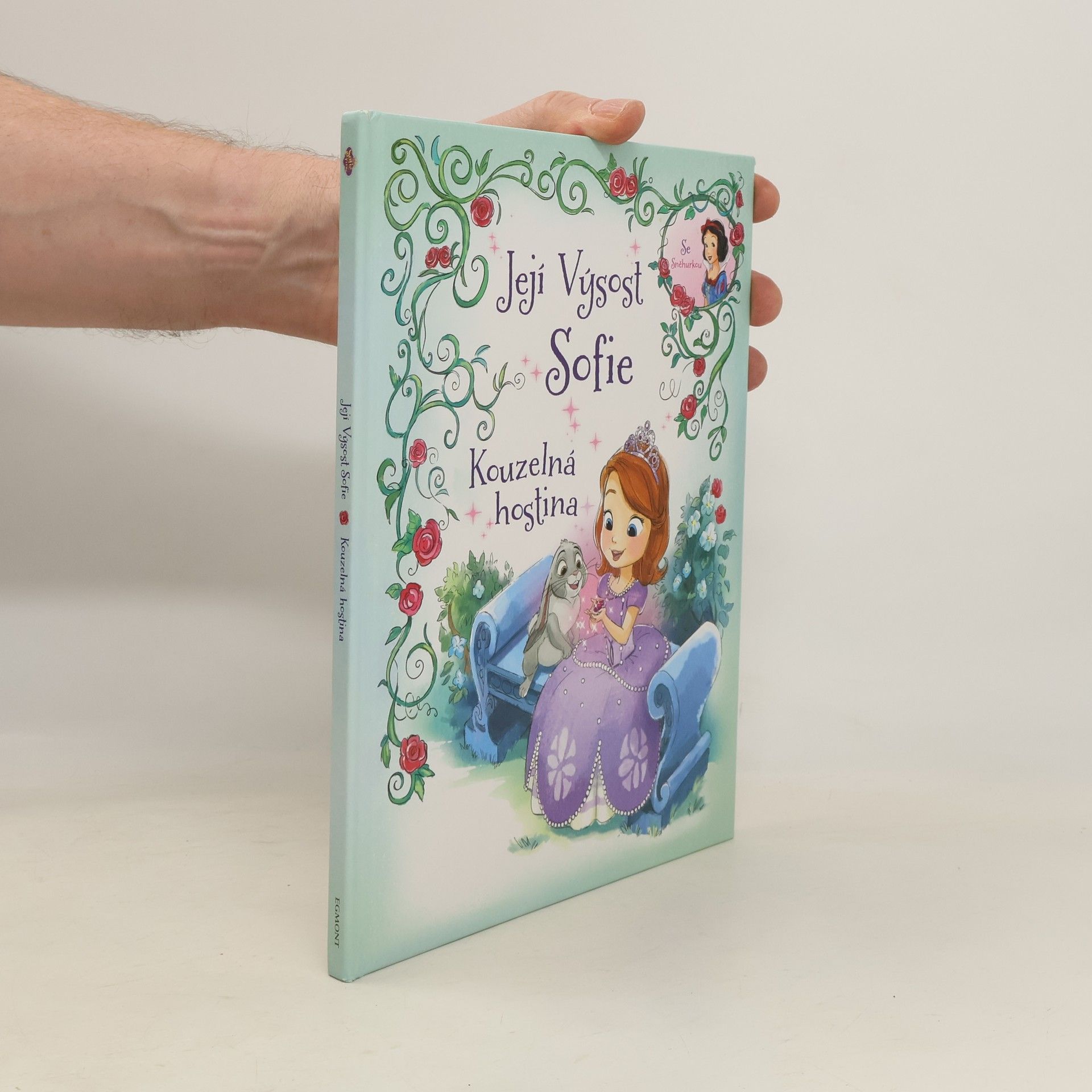 Cathy Hapka Její Výsost Sofie. Kouzelná hostina