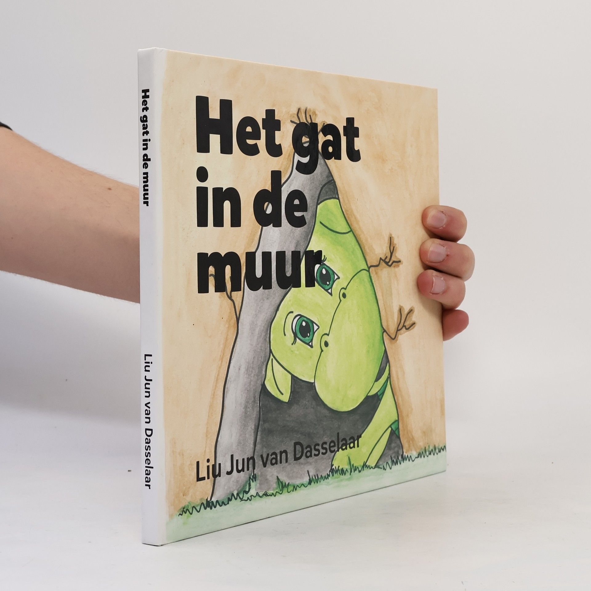 Liu Jun van Dasselaar Het gat in de muur
