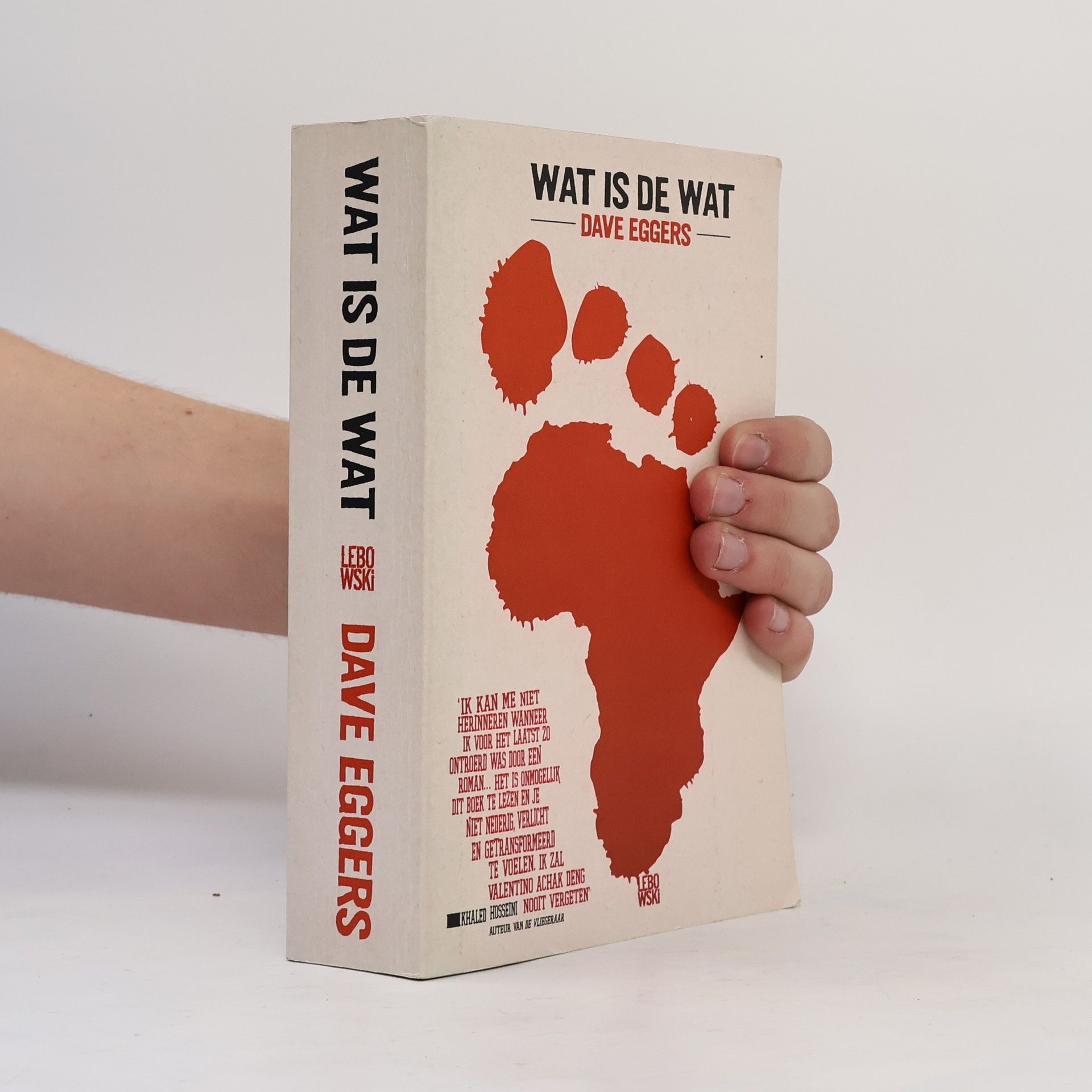 Dave Eggers Wat is de wat