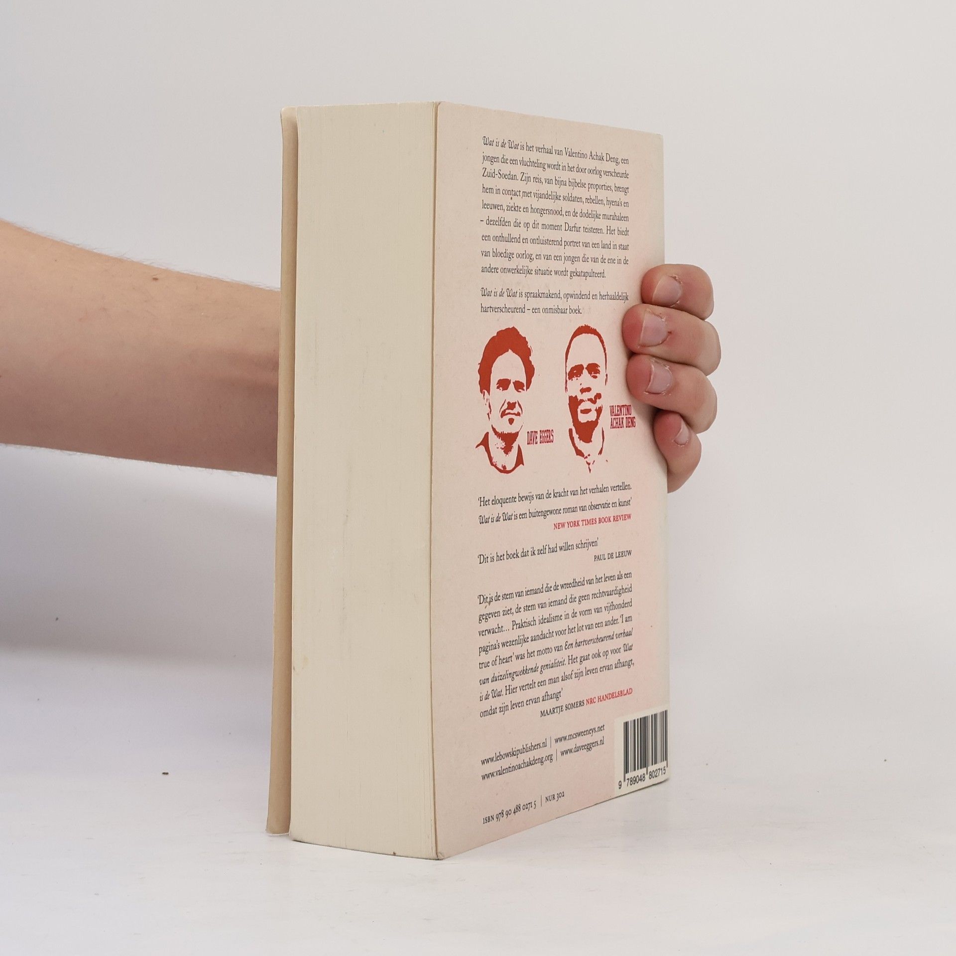 Dave Eggers Wat is de wat