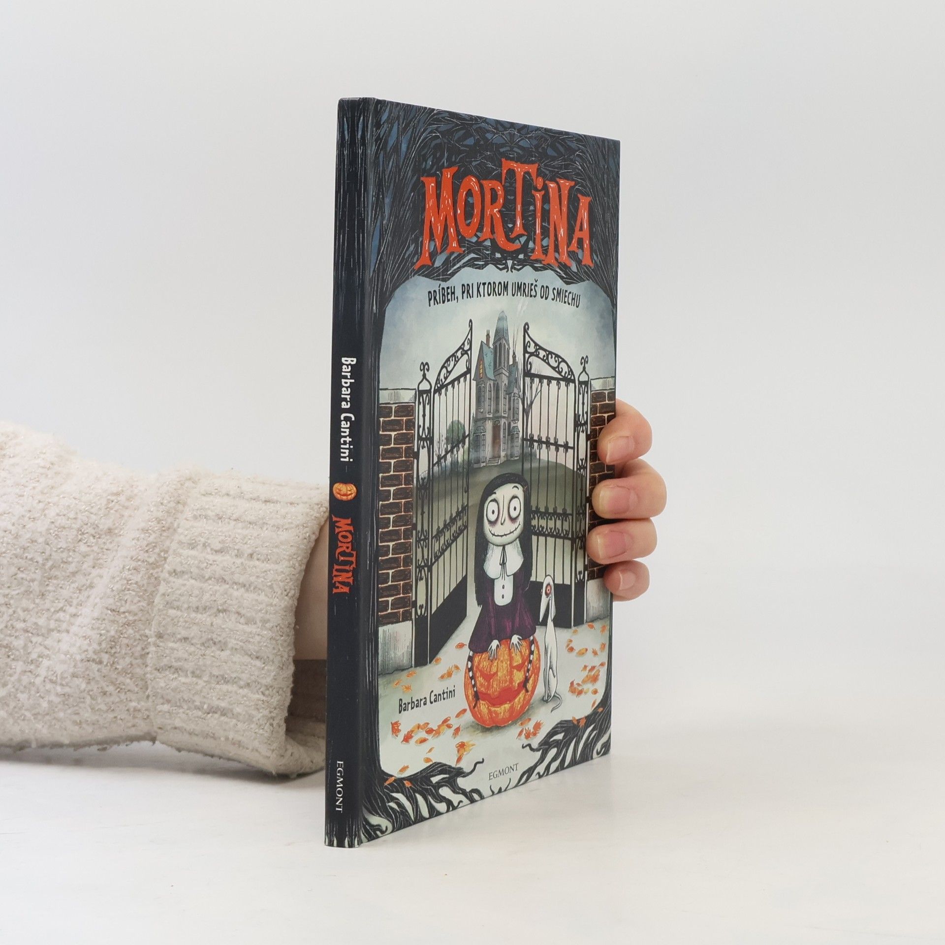 Barbara Cantini Mortina