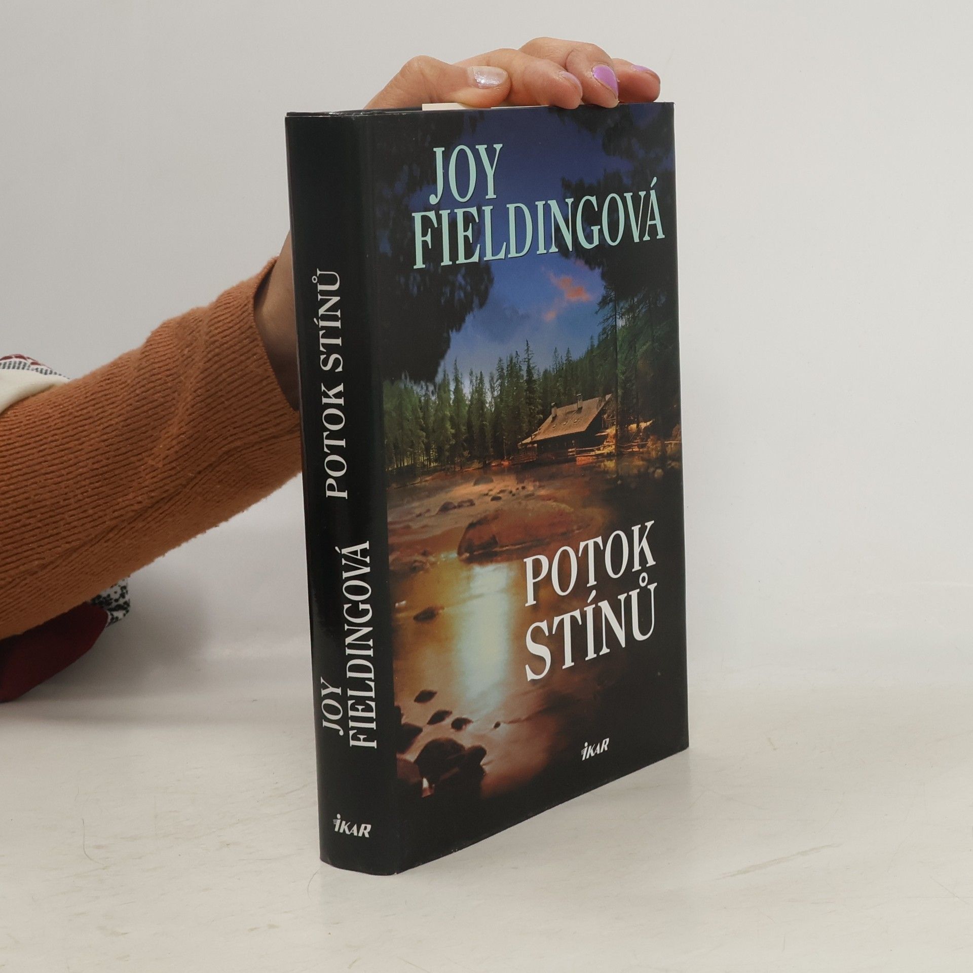 Joy Fielding Potok stínů