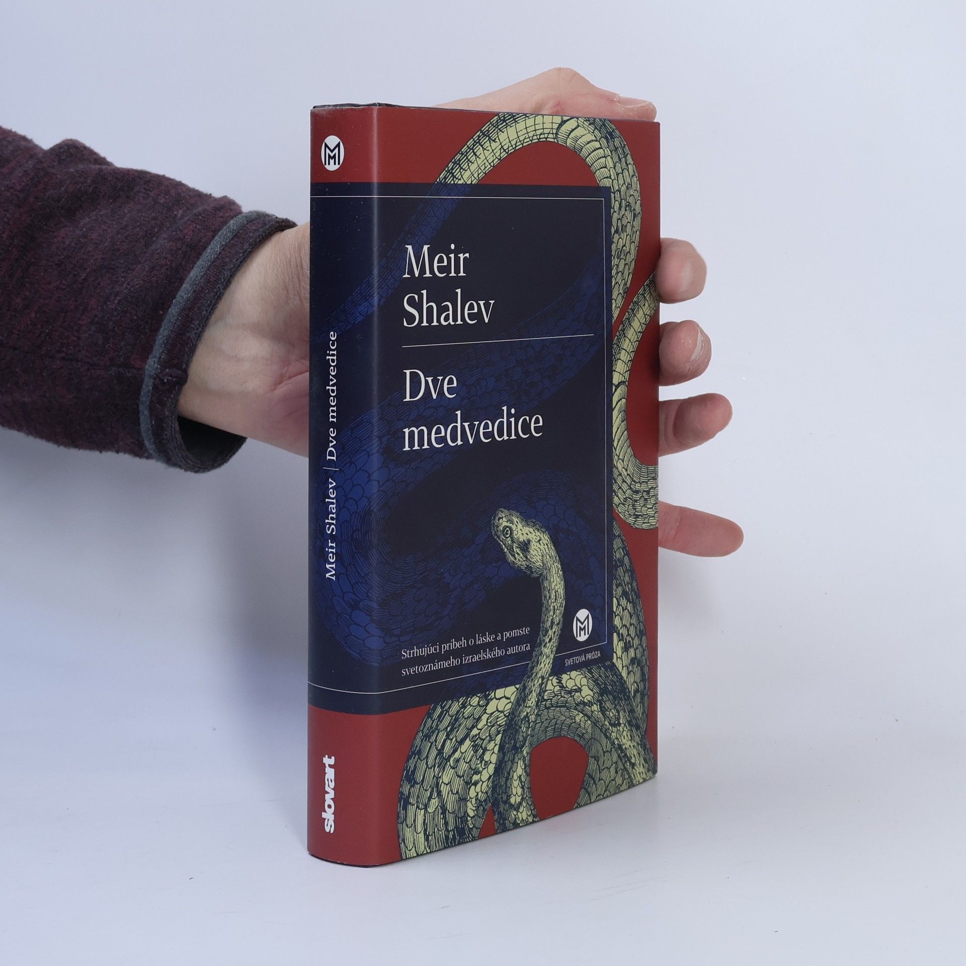Meir Šalev Dve medvedice