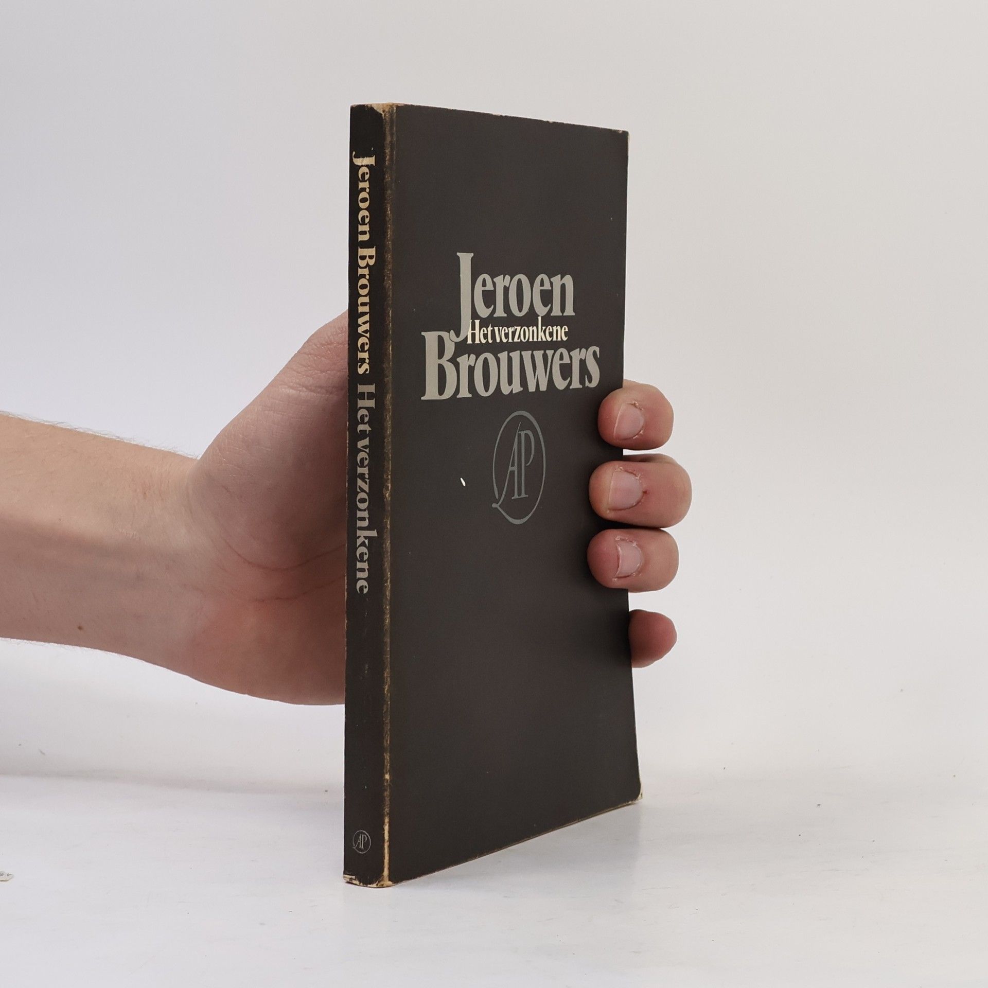 Jeroen Brouwers Het verzonkene