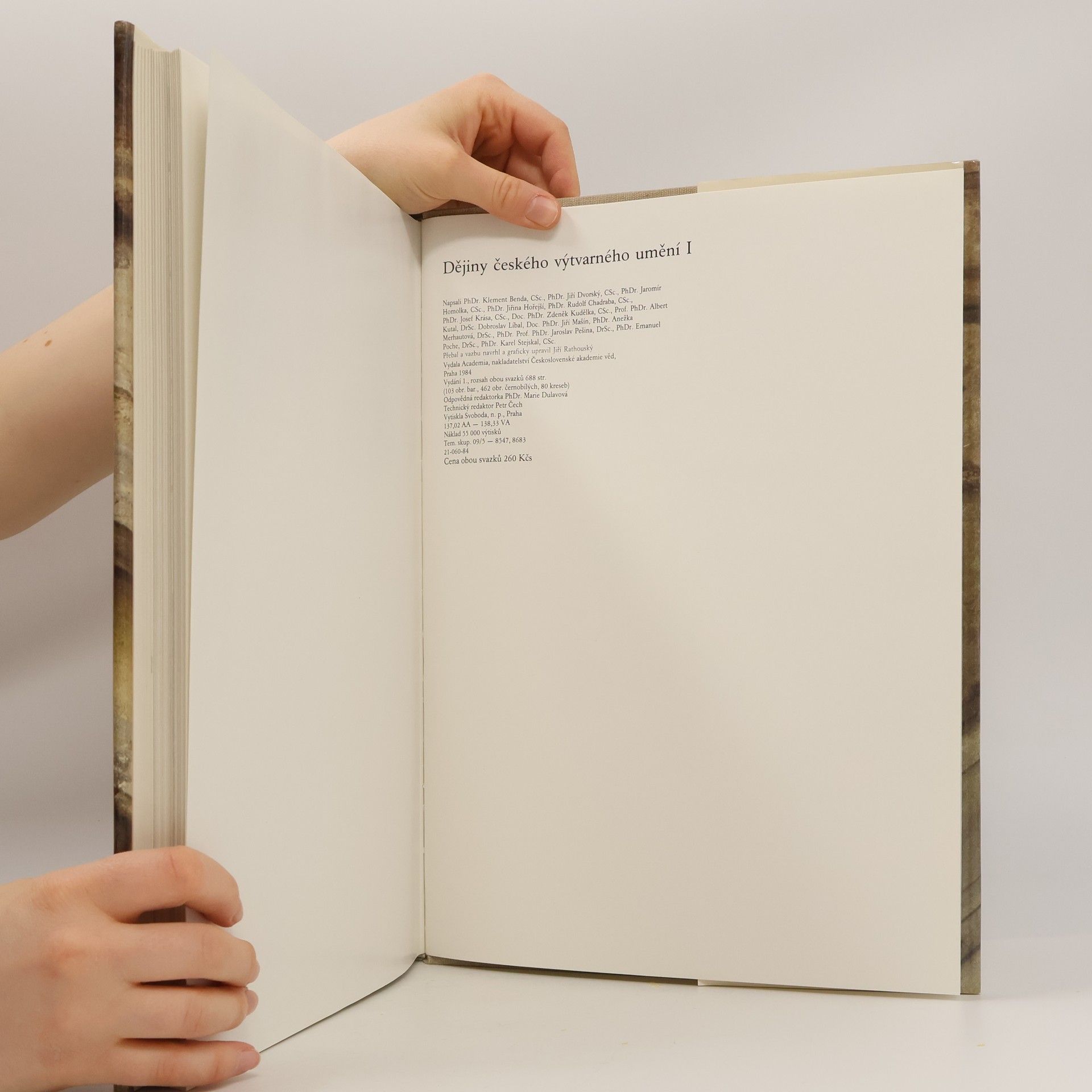 Autores varios Dějiny českého výtvarného umění I/2
