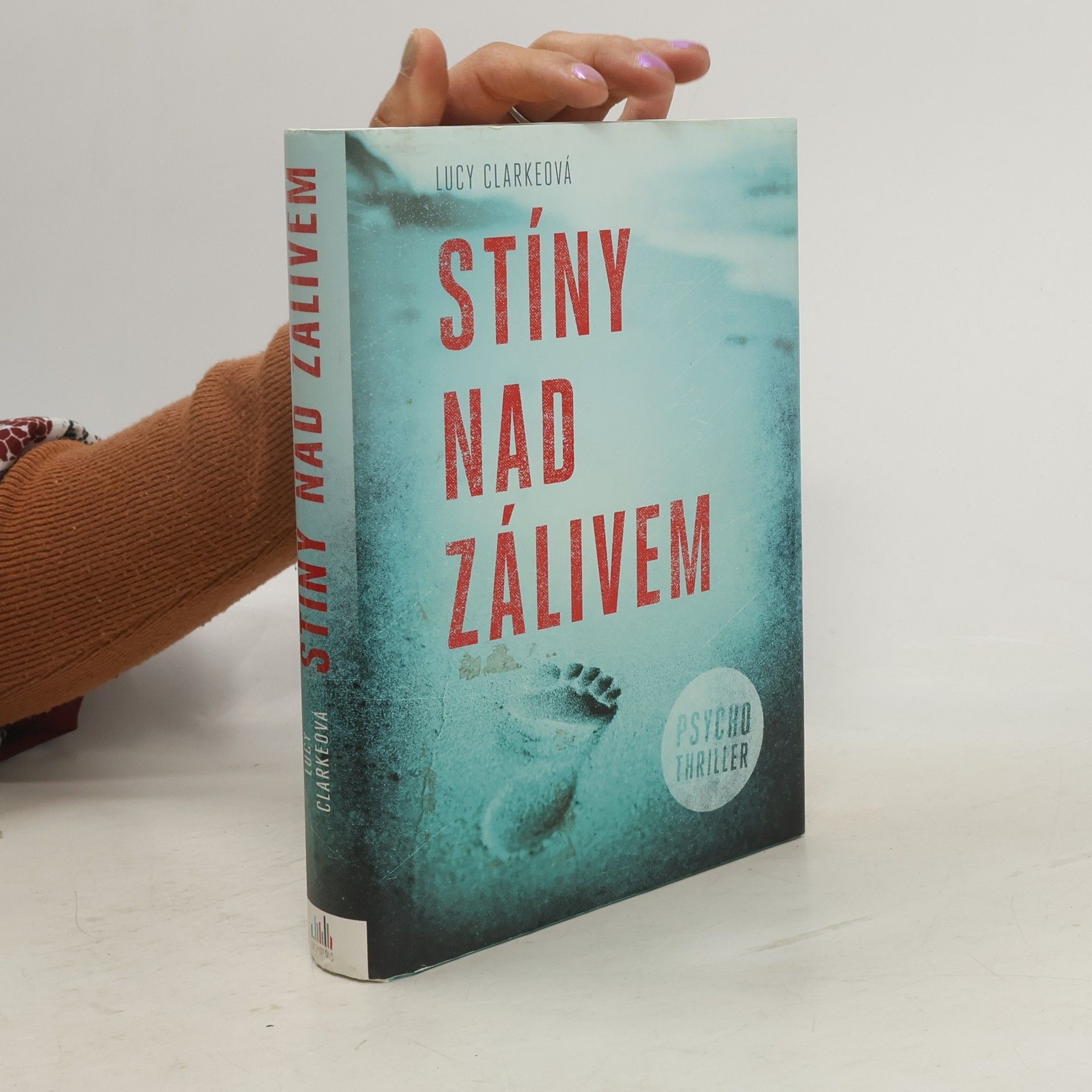 Lucy Clarke Stíny nad zálivem