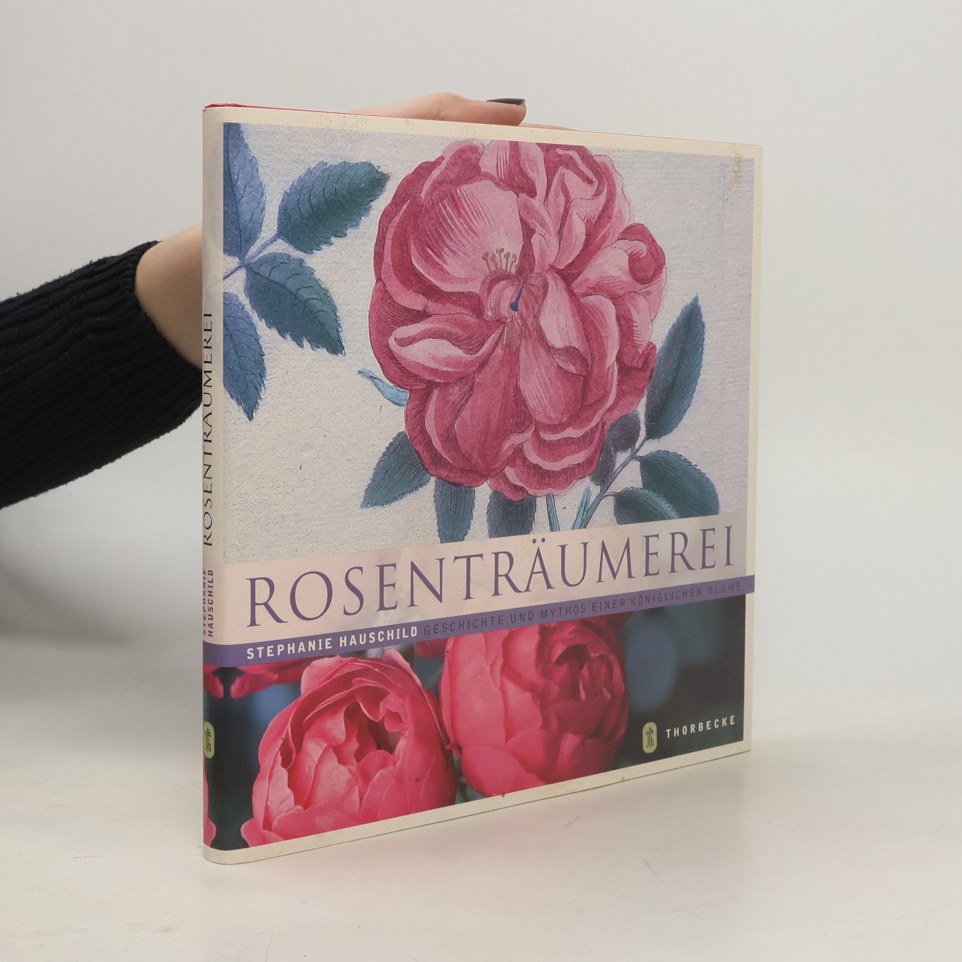 Stephanie Hauschild Rosenträumerei