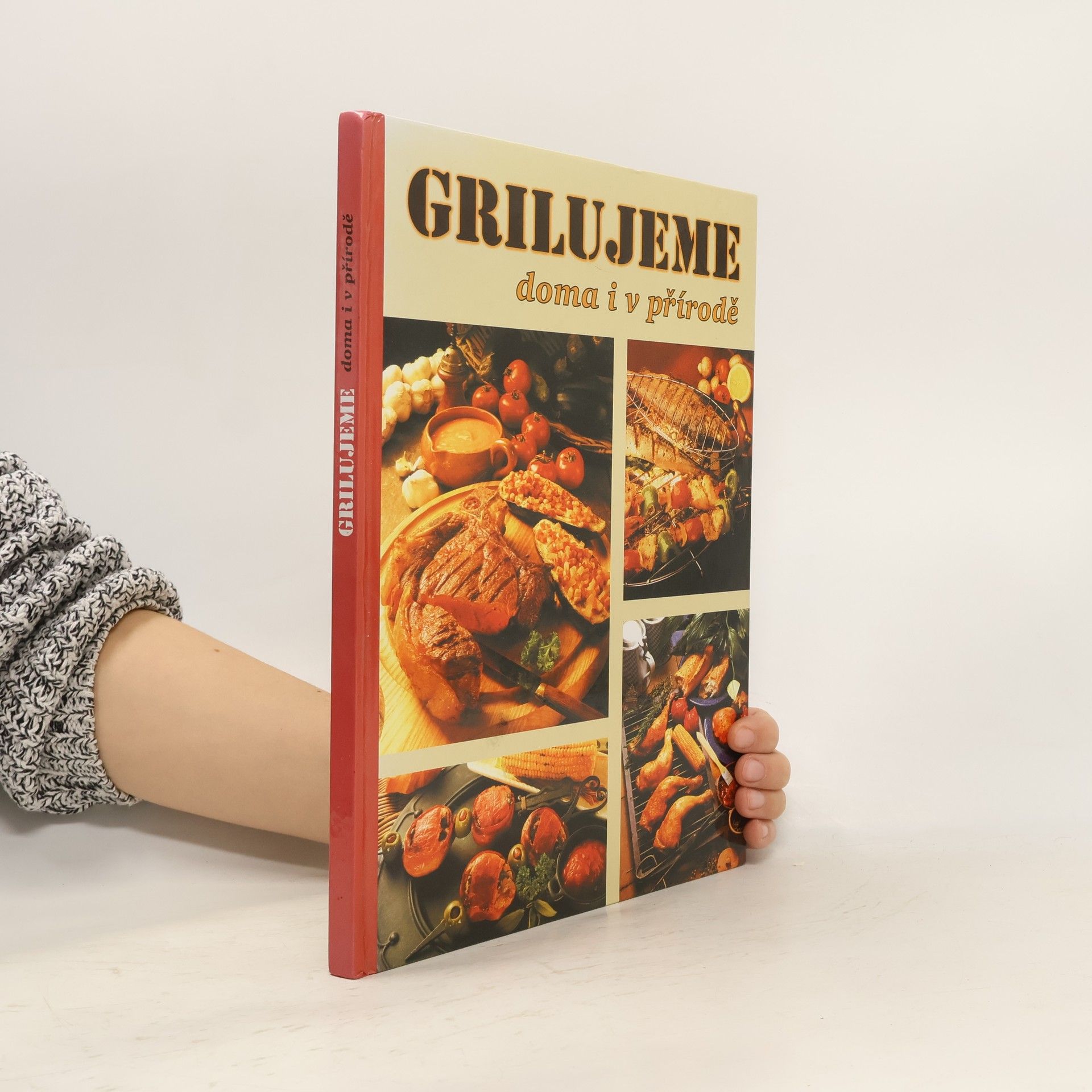 Autorenkollektiv Grilujeme doma i v přírodě