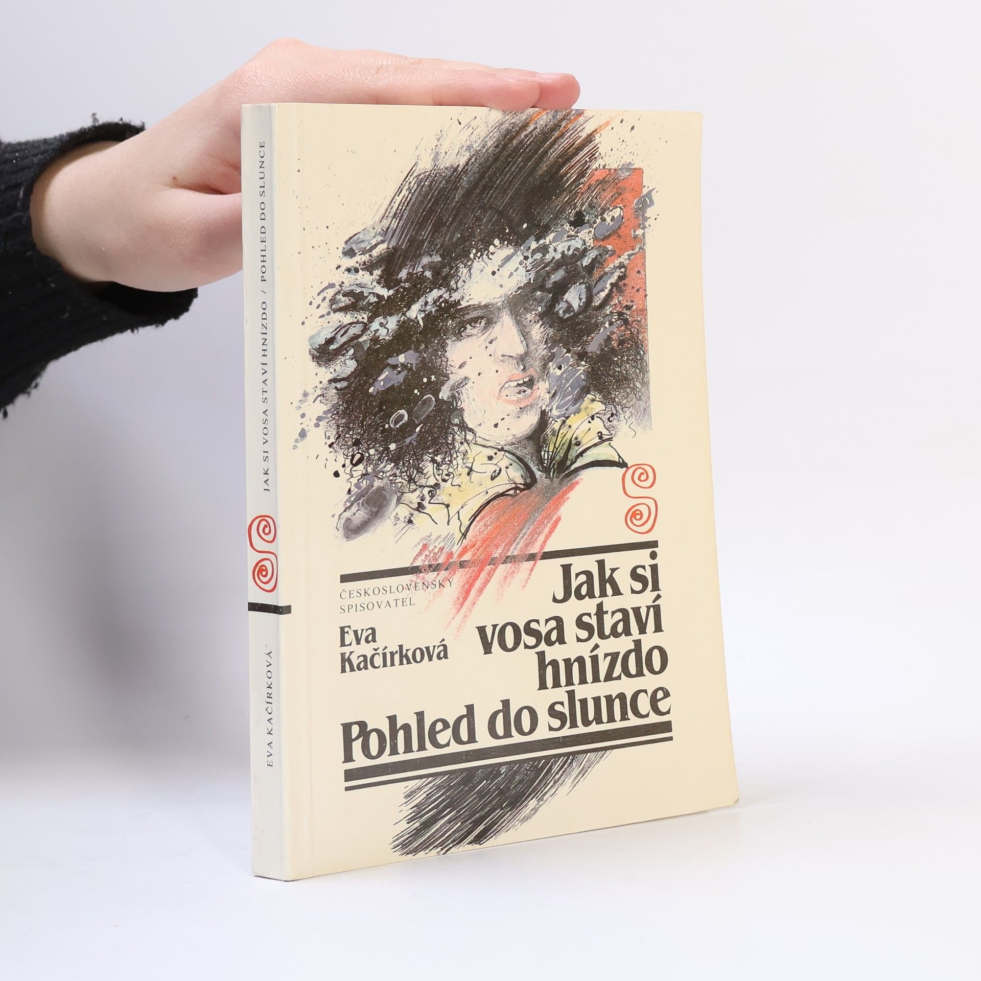 Jak si vosa staví hnízdo. Pohled do slunce