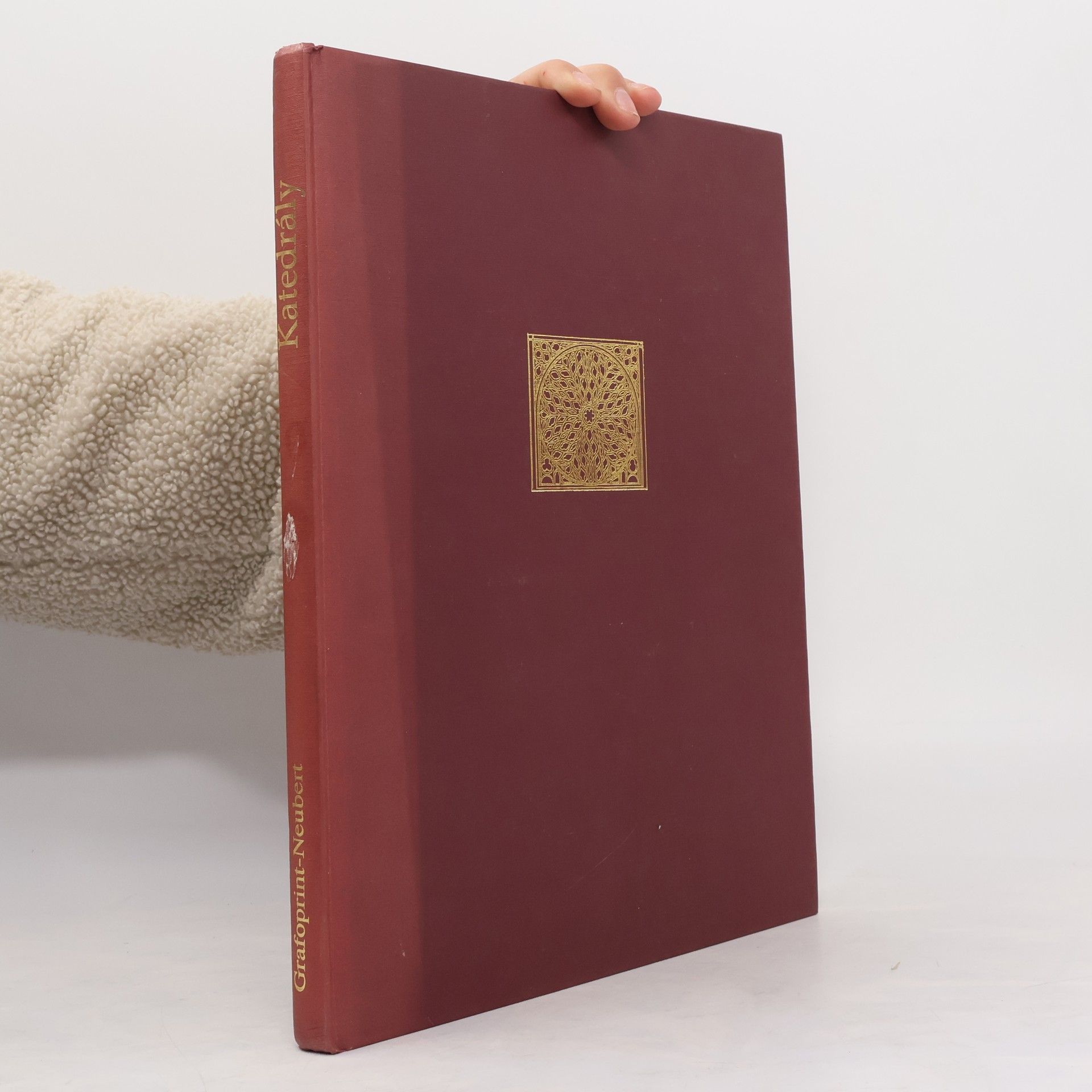 Charlotte Behringer Katedrály. Sto architektonických klenotů Západu