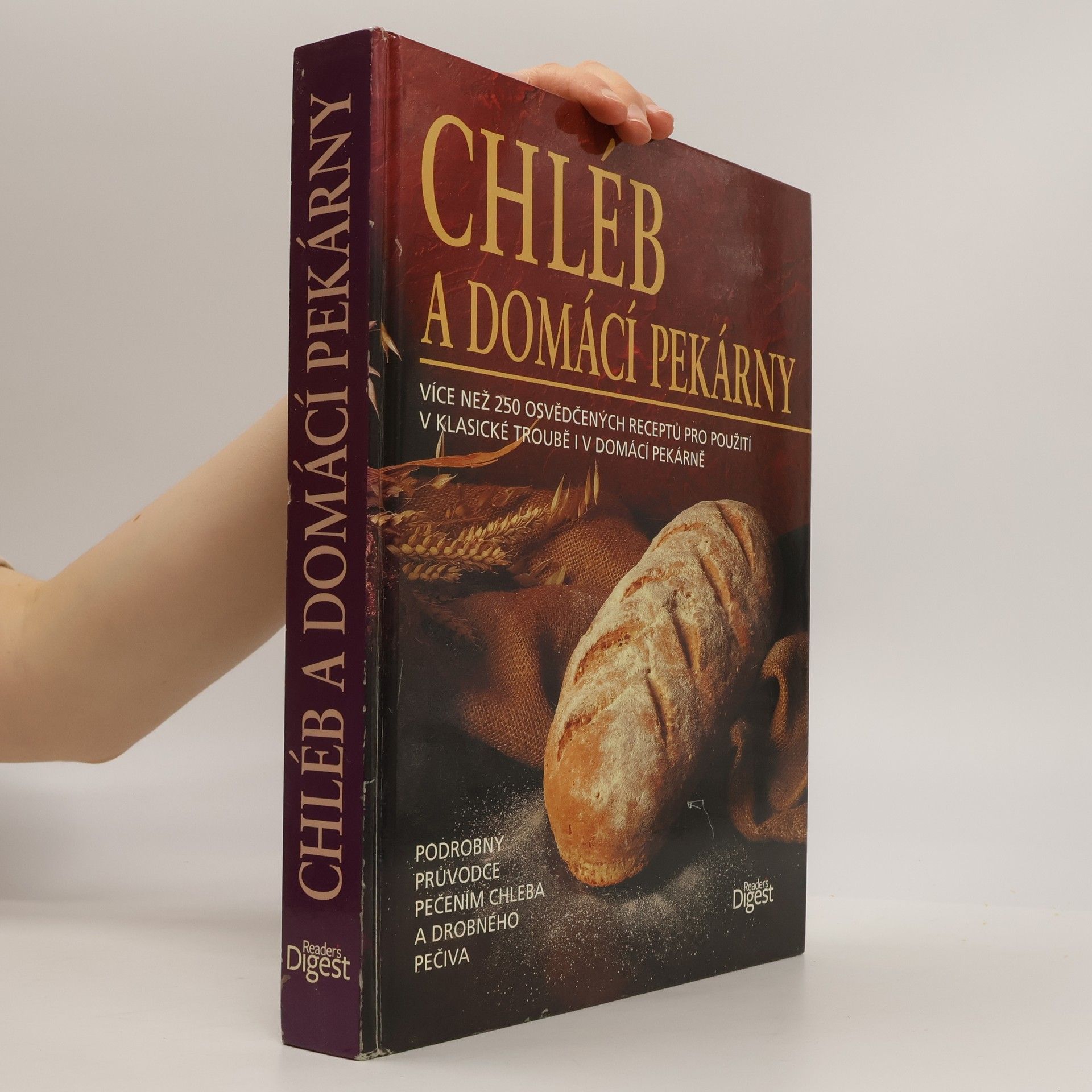 Kolektív autorov Chléb a domácí pekárny
