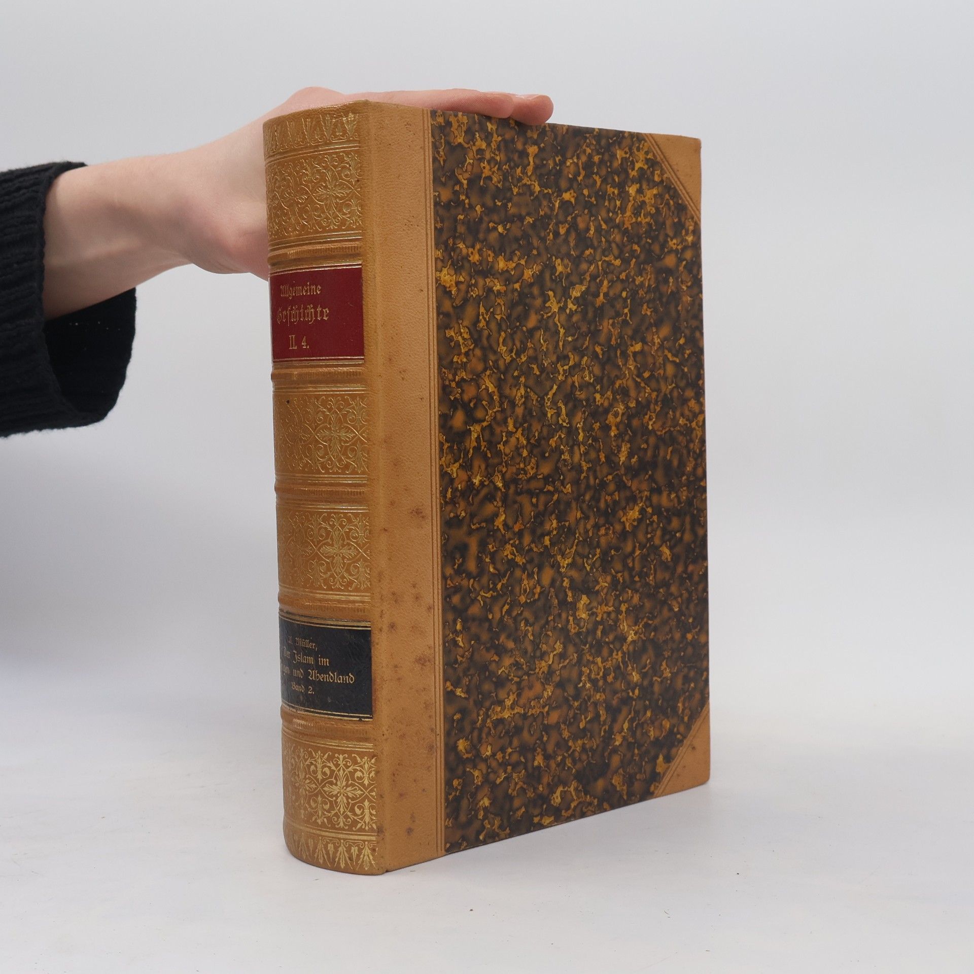 Allgemeine Geschichte in Einzeldarstellungen