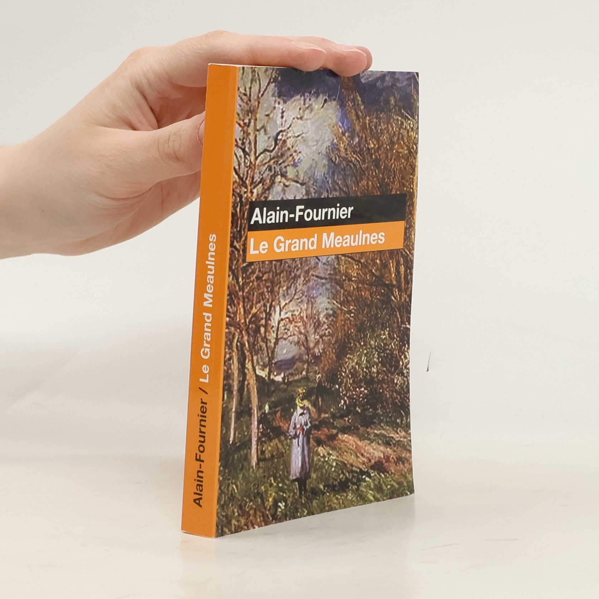 Alain-Fournier Le grand Meaulnes