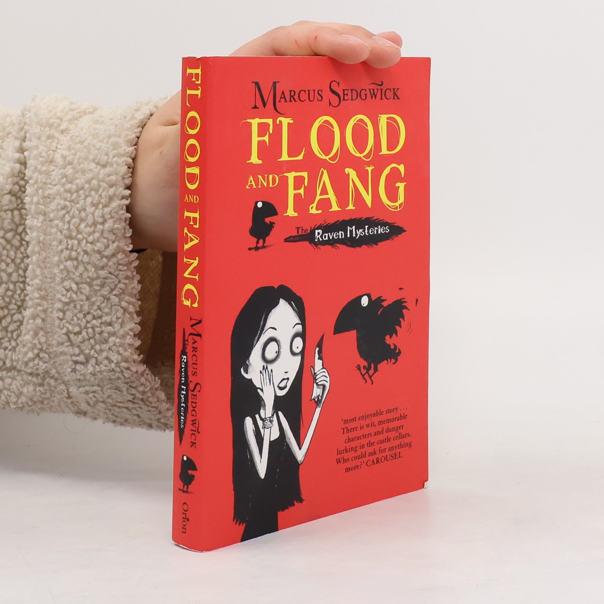 Marcus Sedgwick Raven Mysteries: Flood and Fang