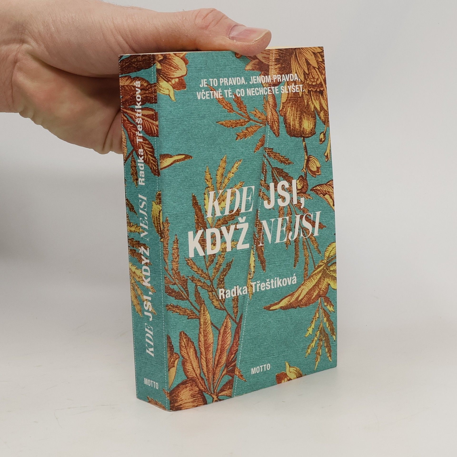 Radka Třeštíková Kde jsi, když nejsi