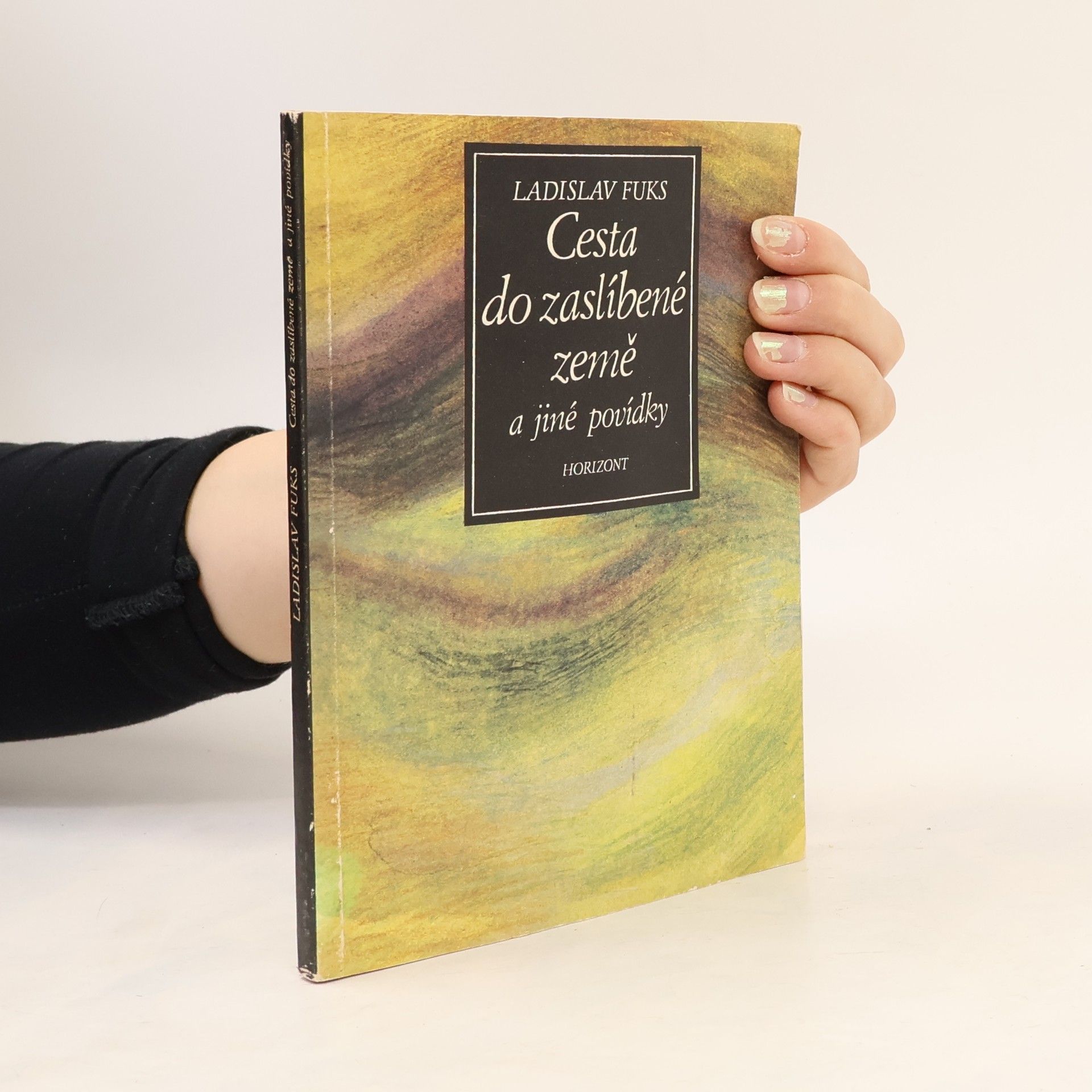 Cesta do zaslíbené země a jiné povídky