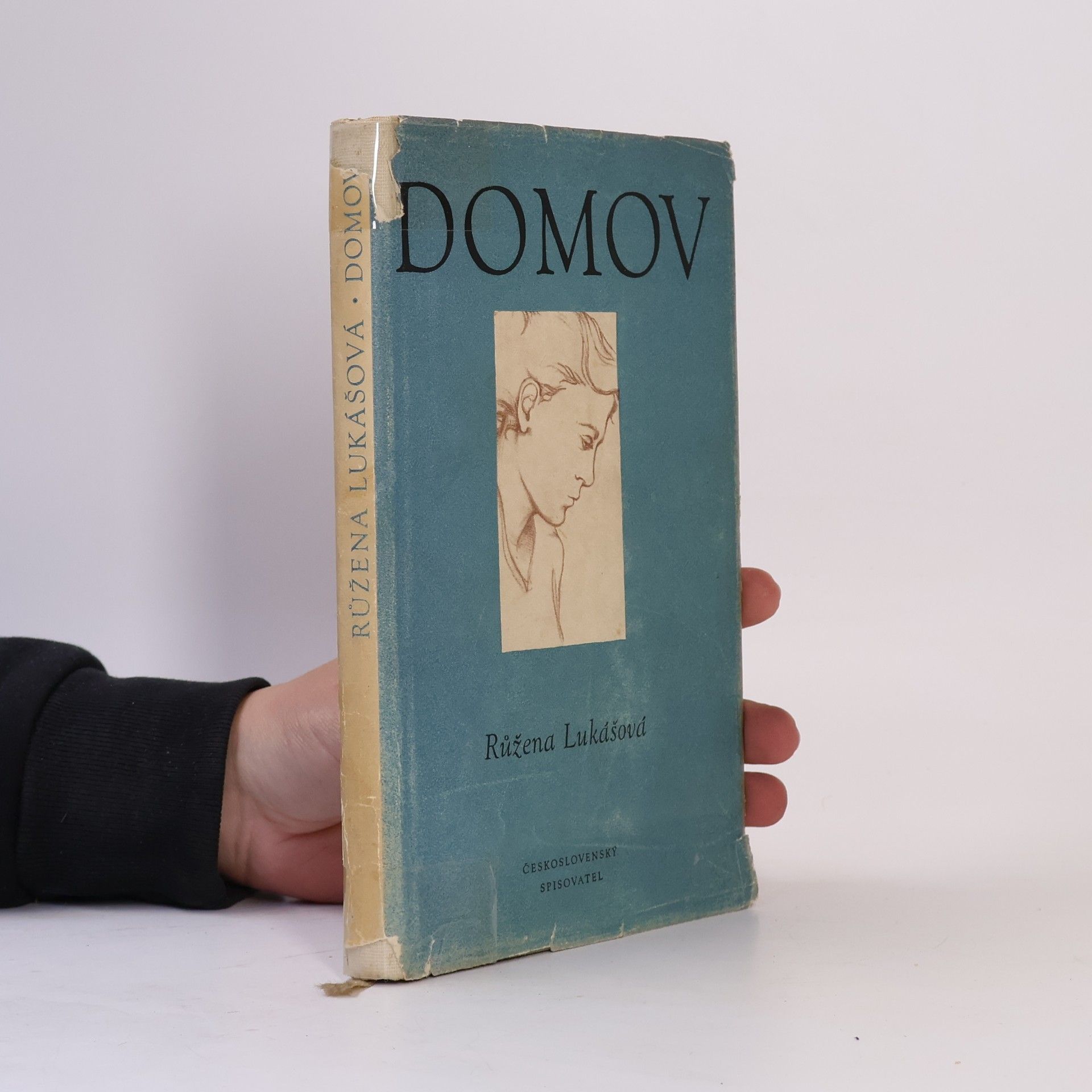 Růžena Lukášová Domov