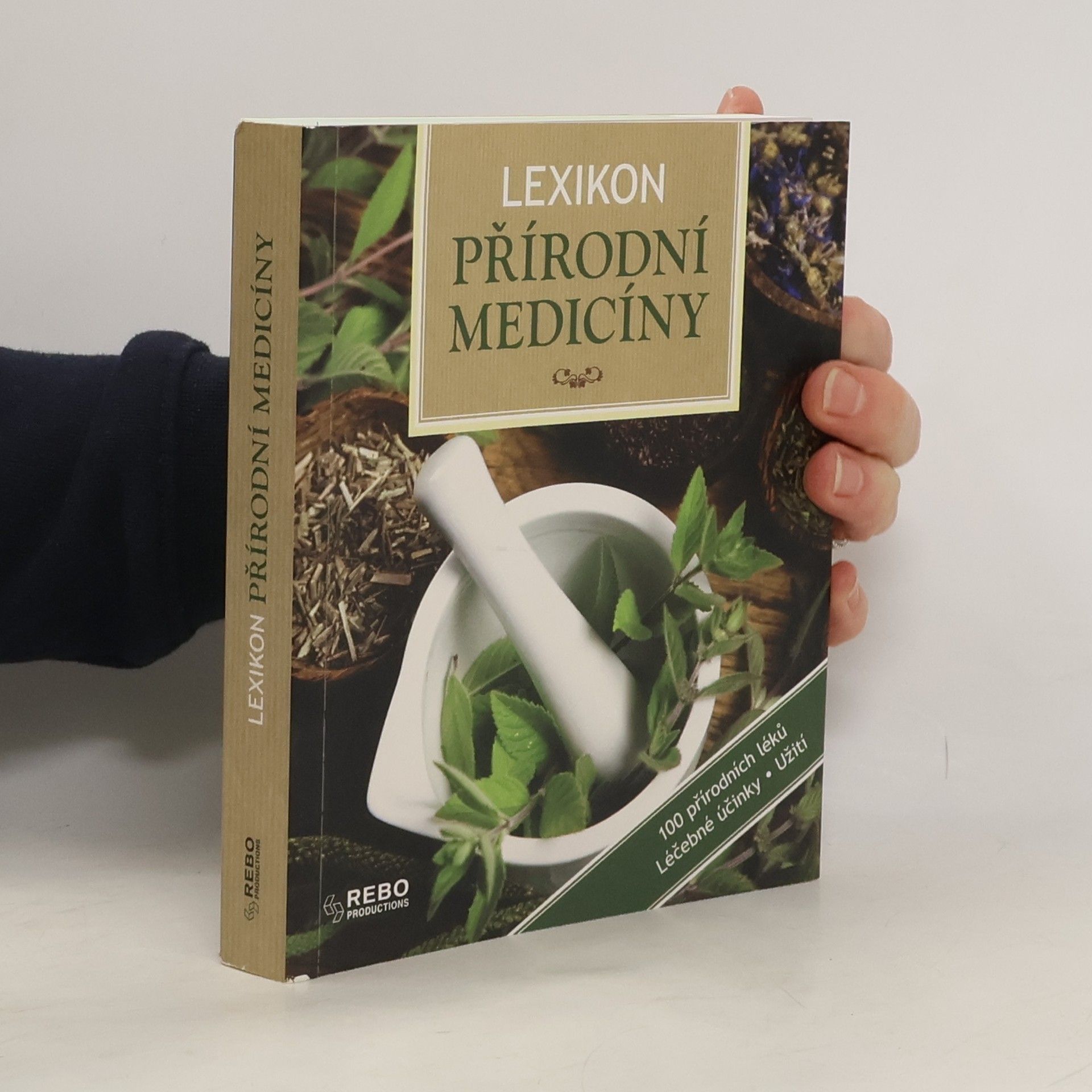 Anne Iburg Lexikon přírodní medicíny