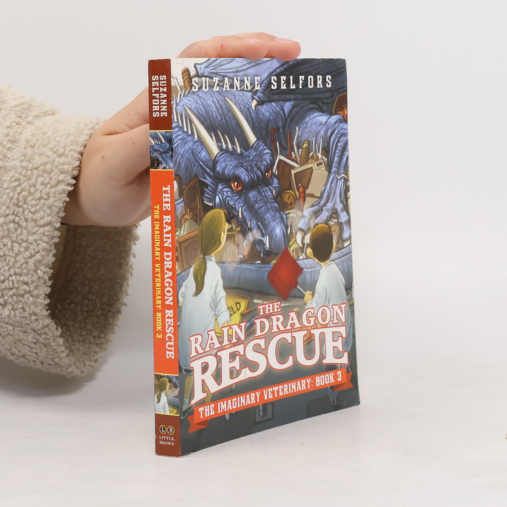 Suzanne Selfors The Rain Dragon Rescue