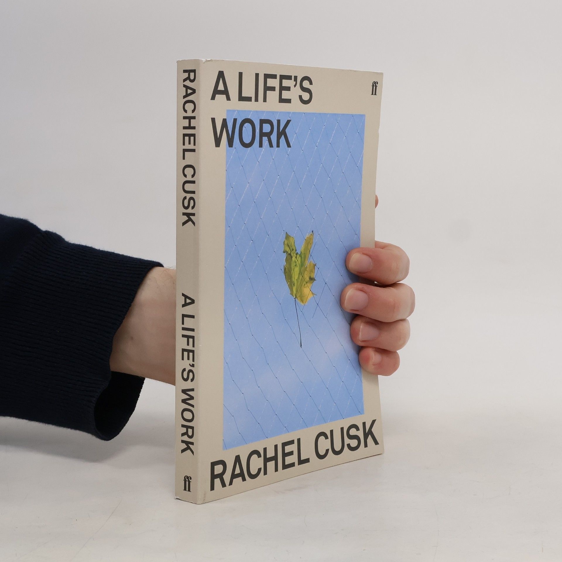 Rachel Cusk A Life's Work
