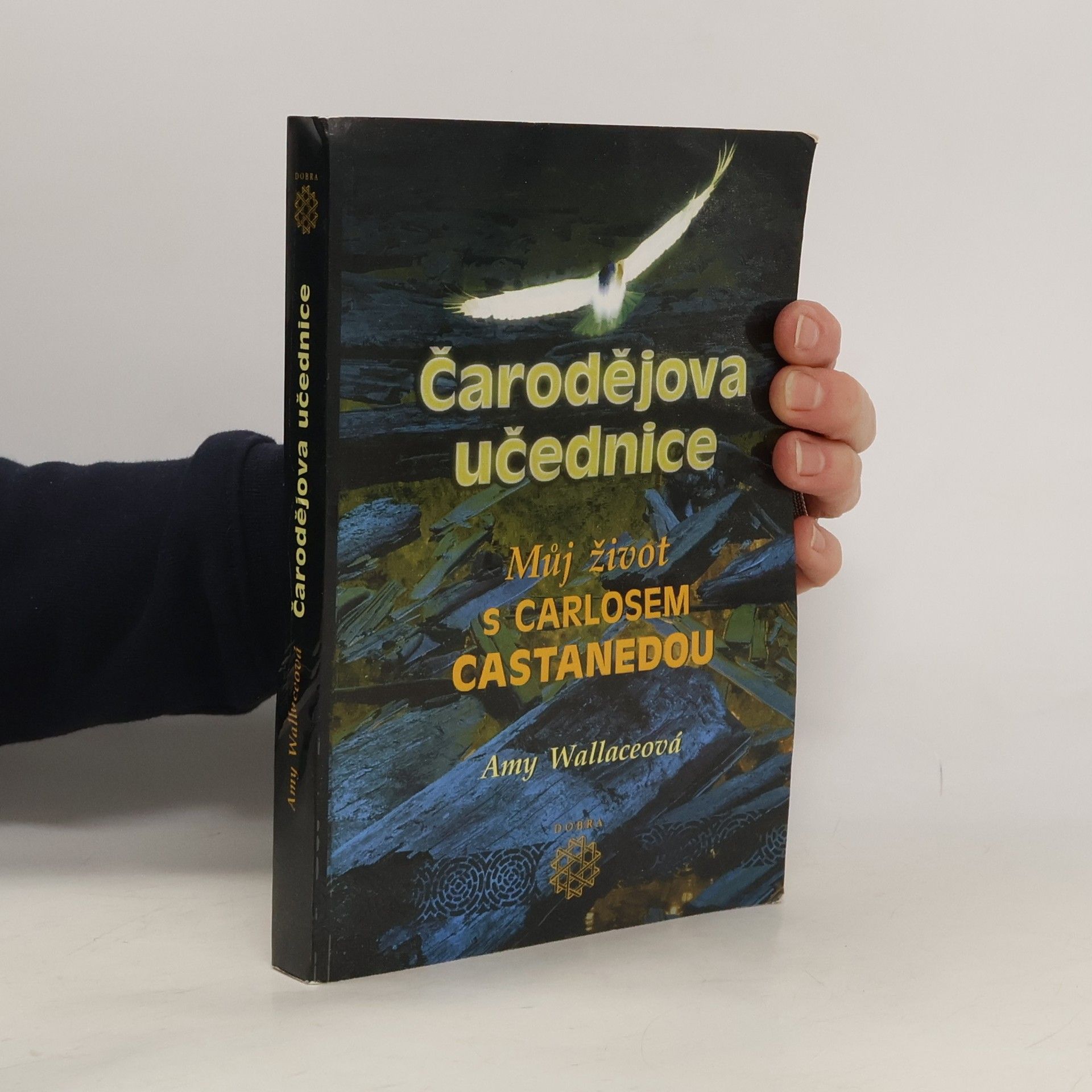 Amy Wallace Čarodějova učednice. Můj život s Carlosem Castanedou