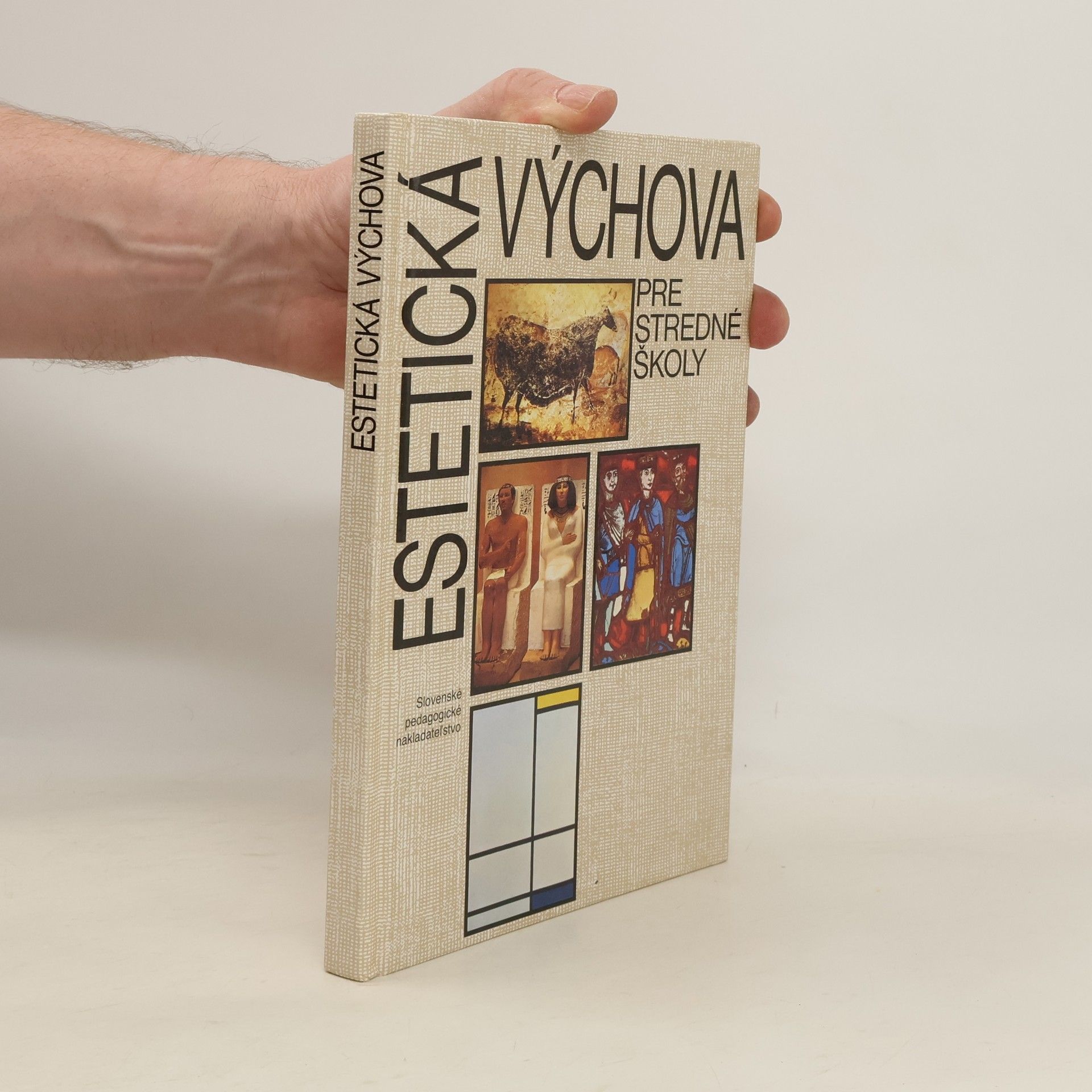 Autorenkollektiv Estetická výchova pre stredné školy