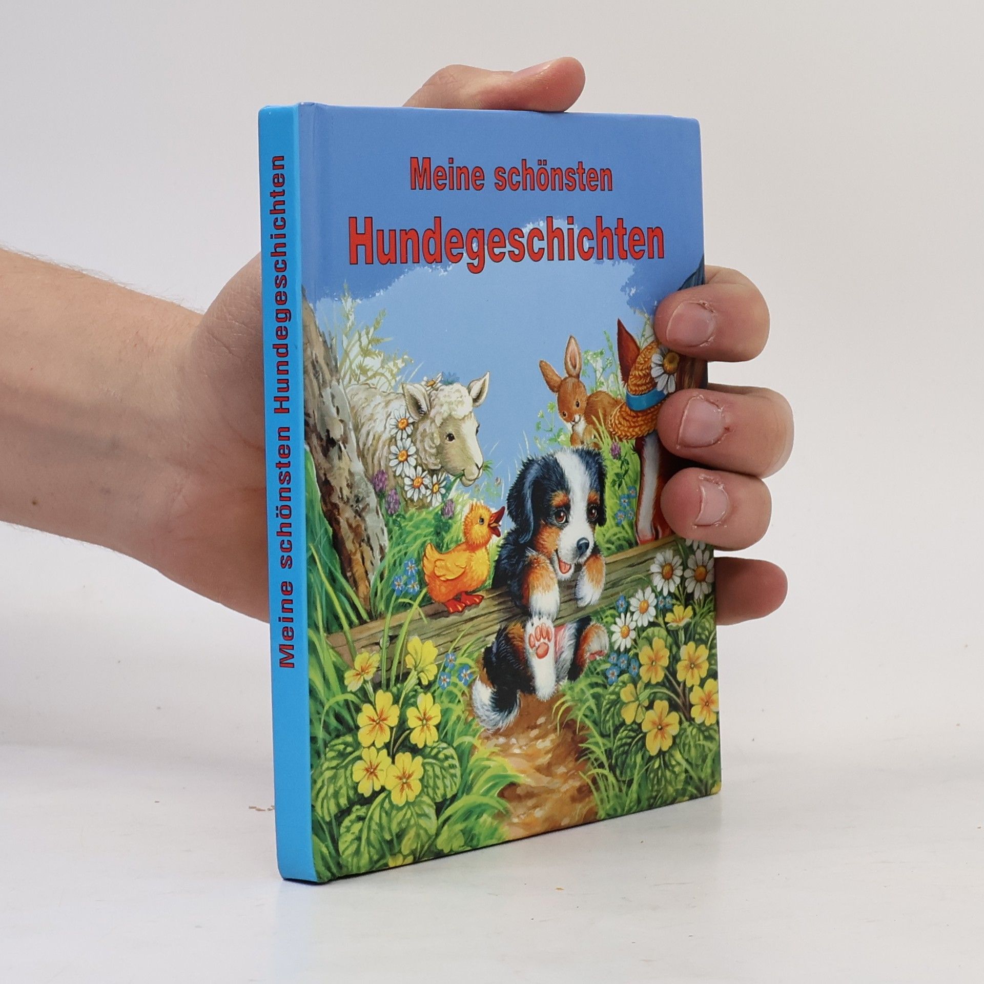 Auteurscollectief Meine schönsten Katzengeschichten