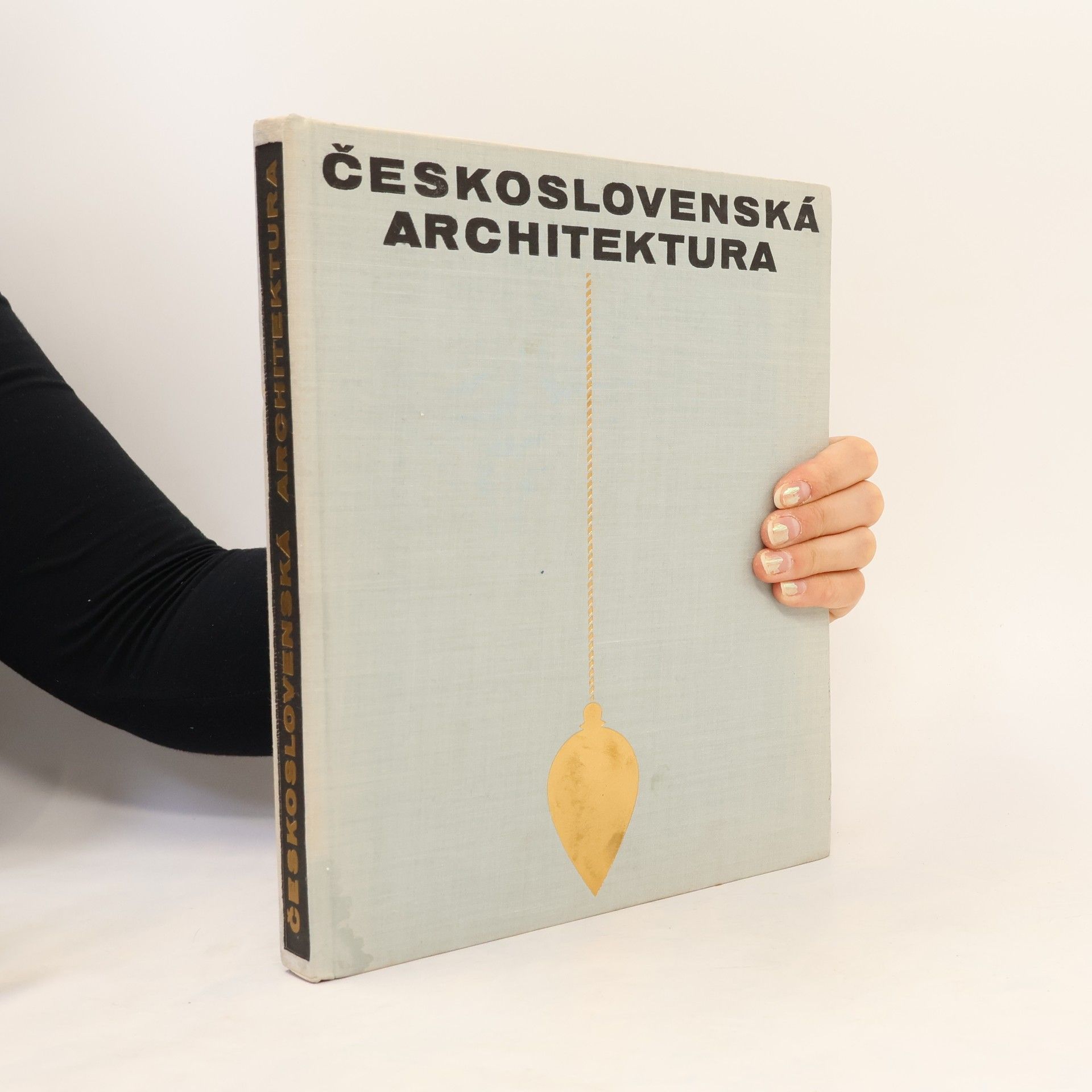 Oldřich Starý Československá architektura od nejstarší doby po současnost