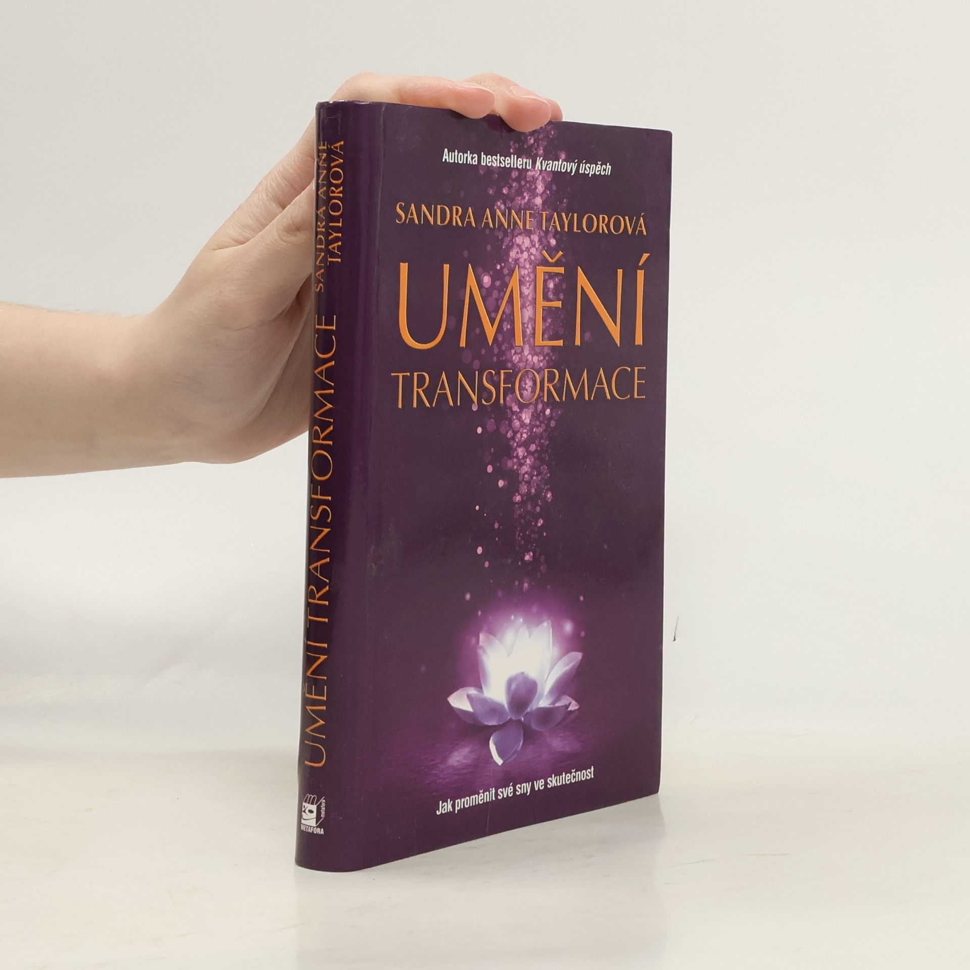 Sandra Anne Taylor Umění transformace