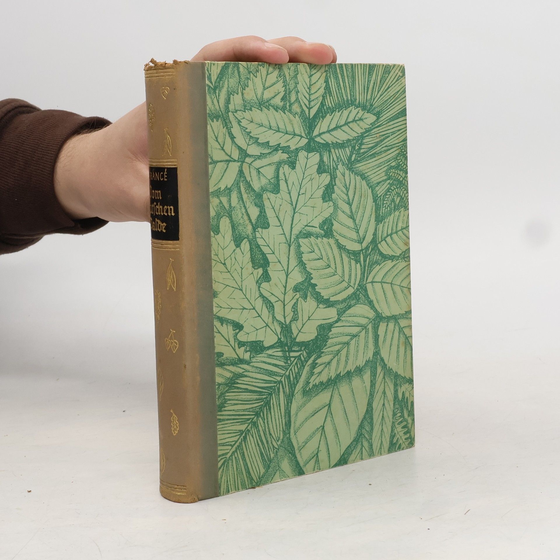 Raoul Heinrich Francé Vom deutschen Walde