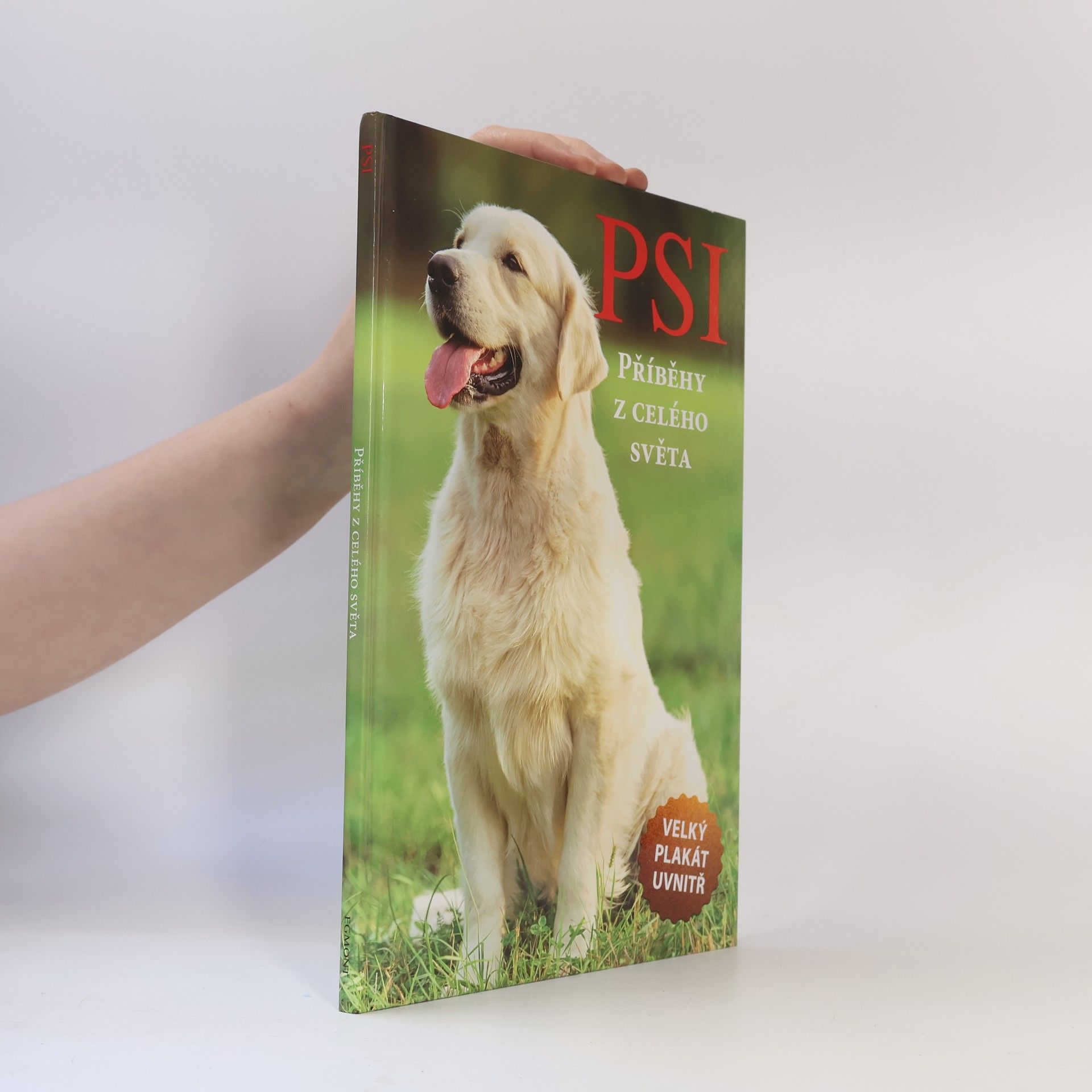Kolektiv autorů Psi - Příběhy z celého světa