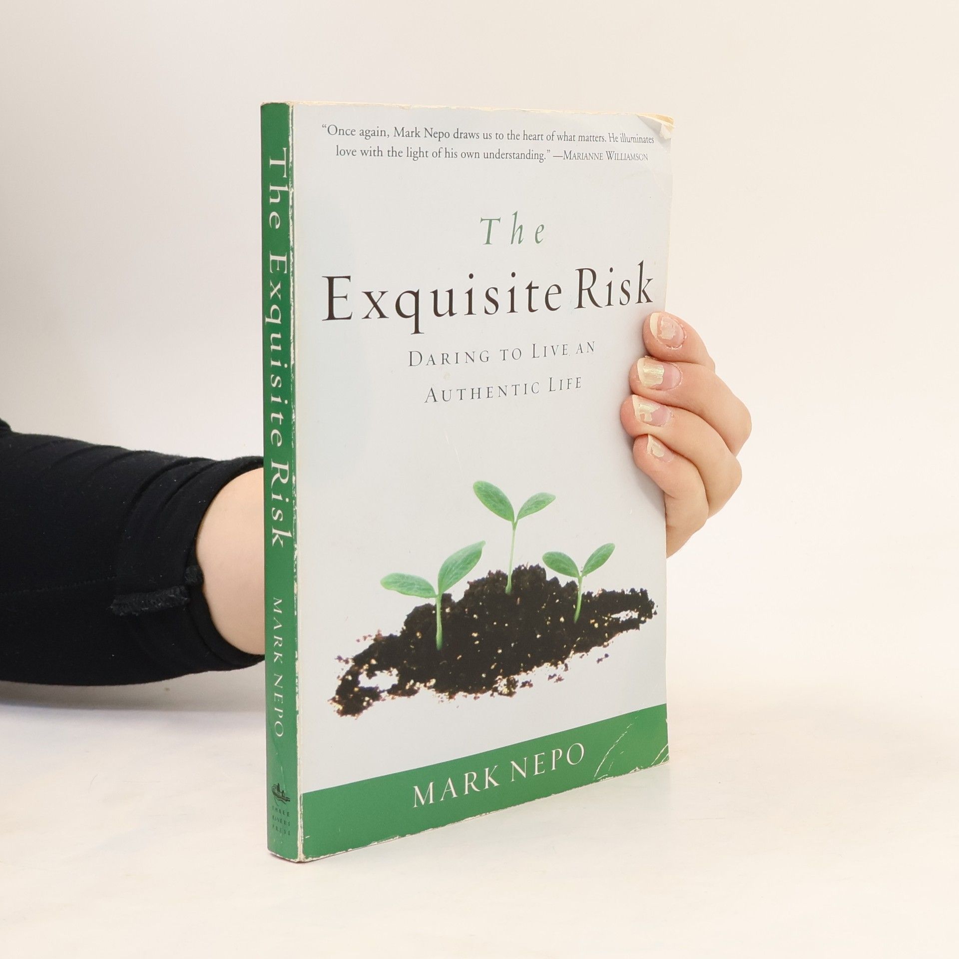 Mark Nepo The Exquisite Risk