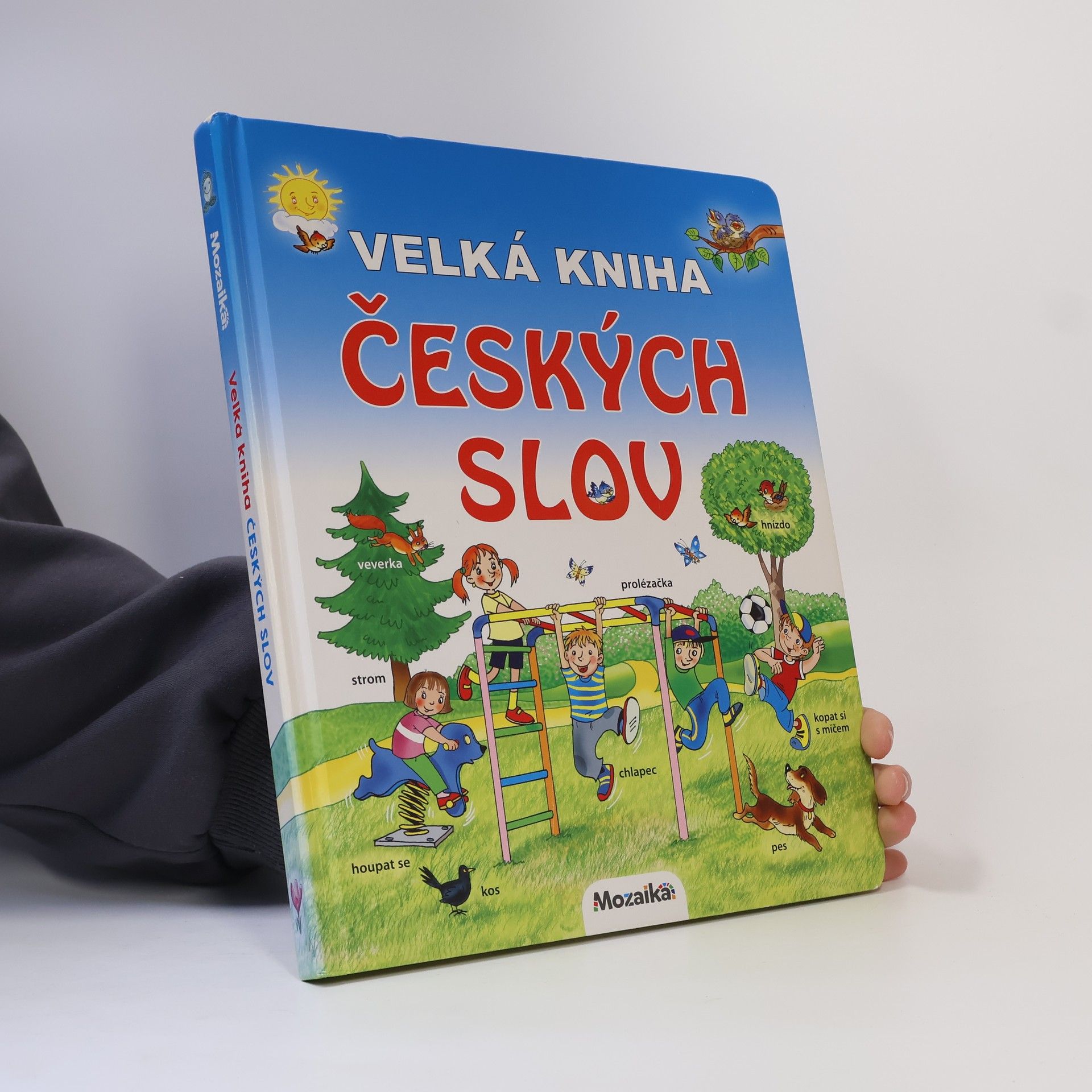 Velká kniha českých slov